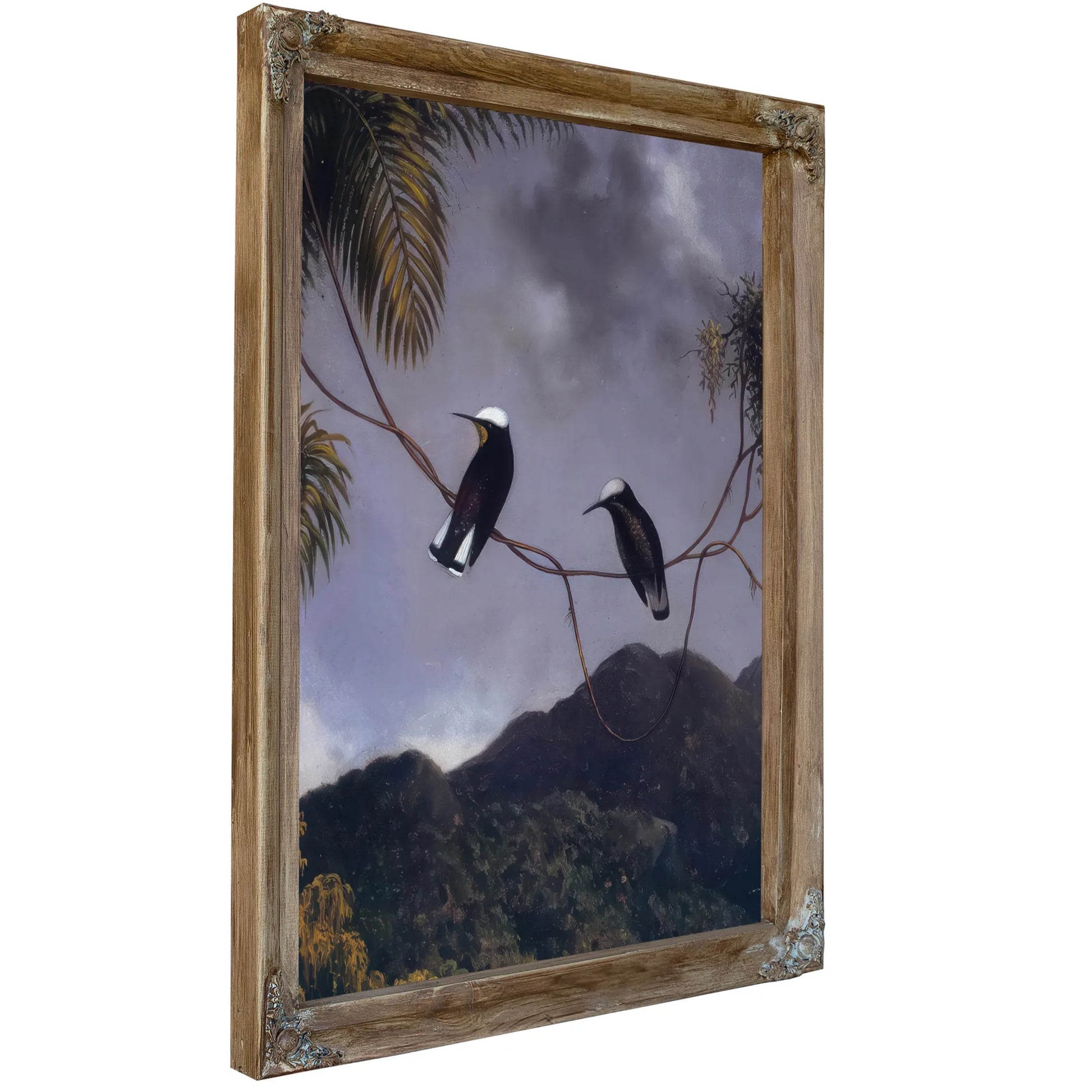 Snowcap By Martin Johnson Heade Fine Art Print