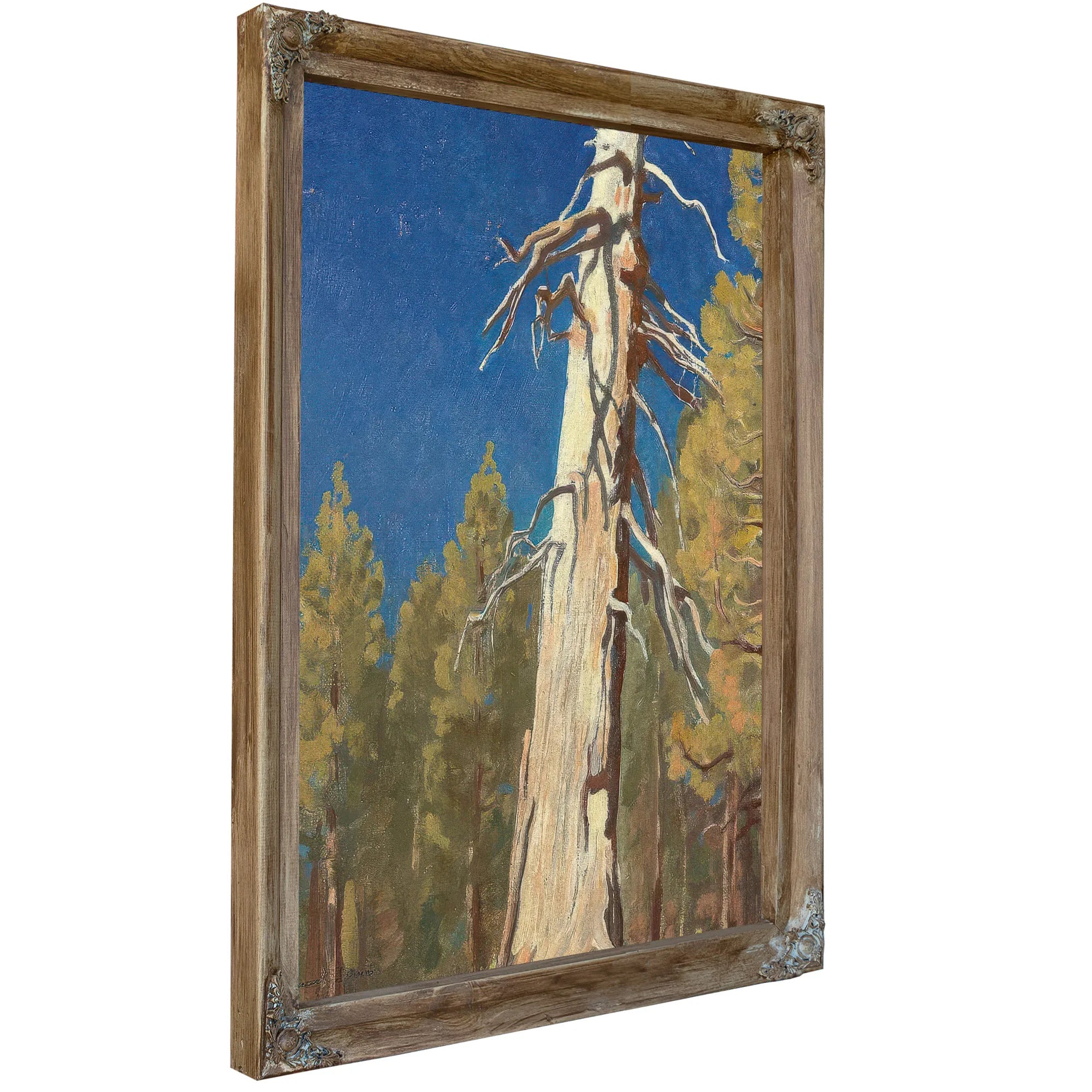 Fallen Leaf 1933 By Maynard Dixon Fine Art Print