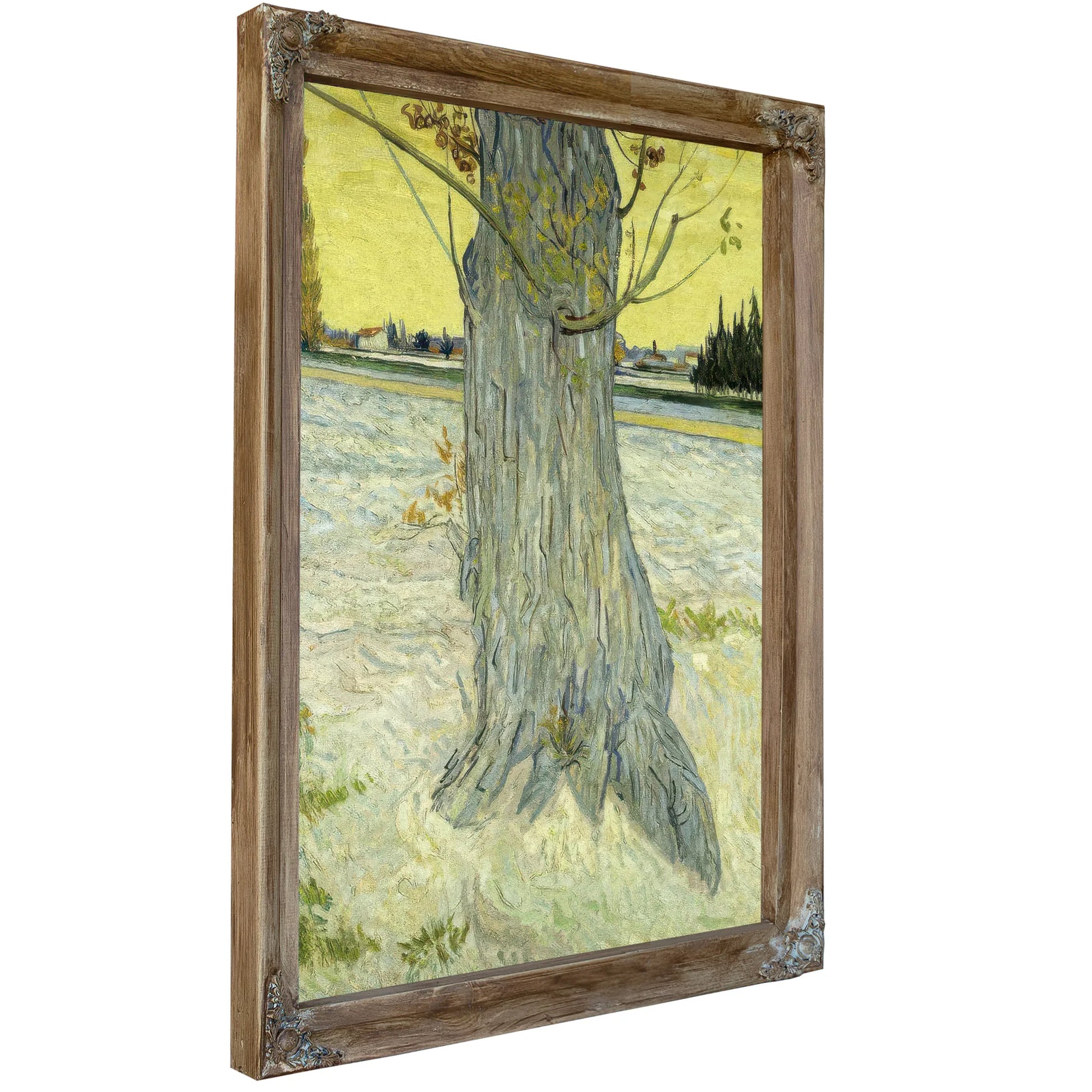 The Old Tree By Vincent Van Gogh Fine Art Print
