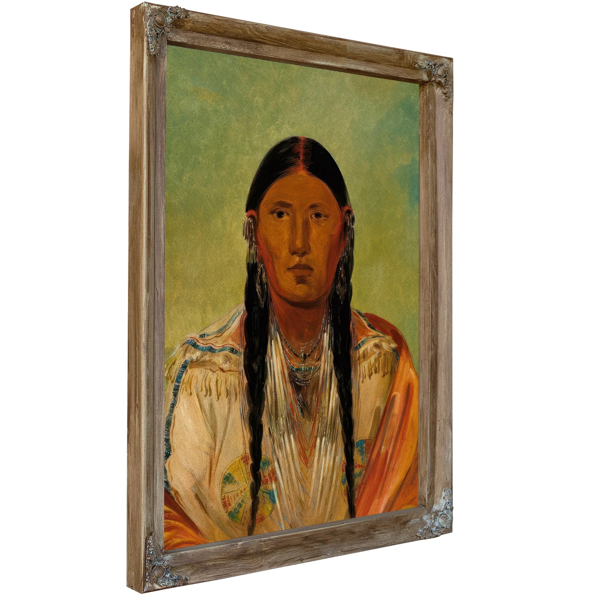 Ru Ton Wee Me, Pigeon On The Wing By George Catlin Fine Art Print