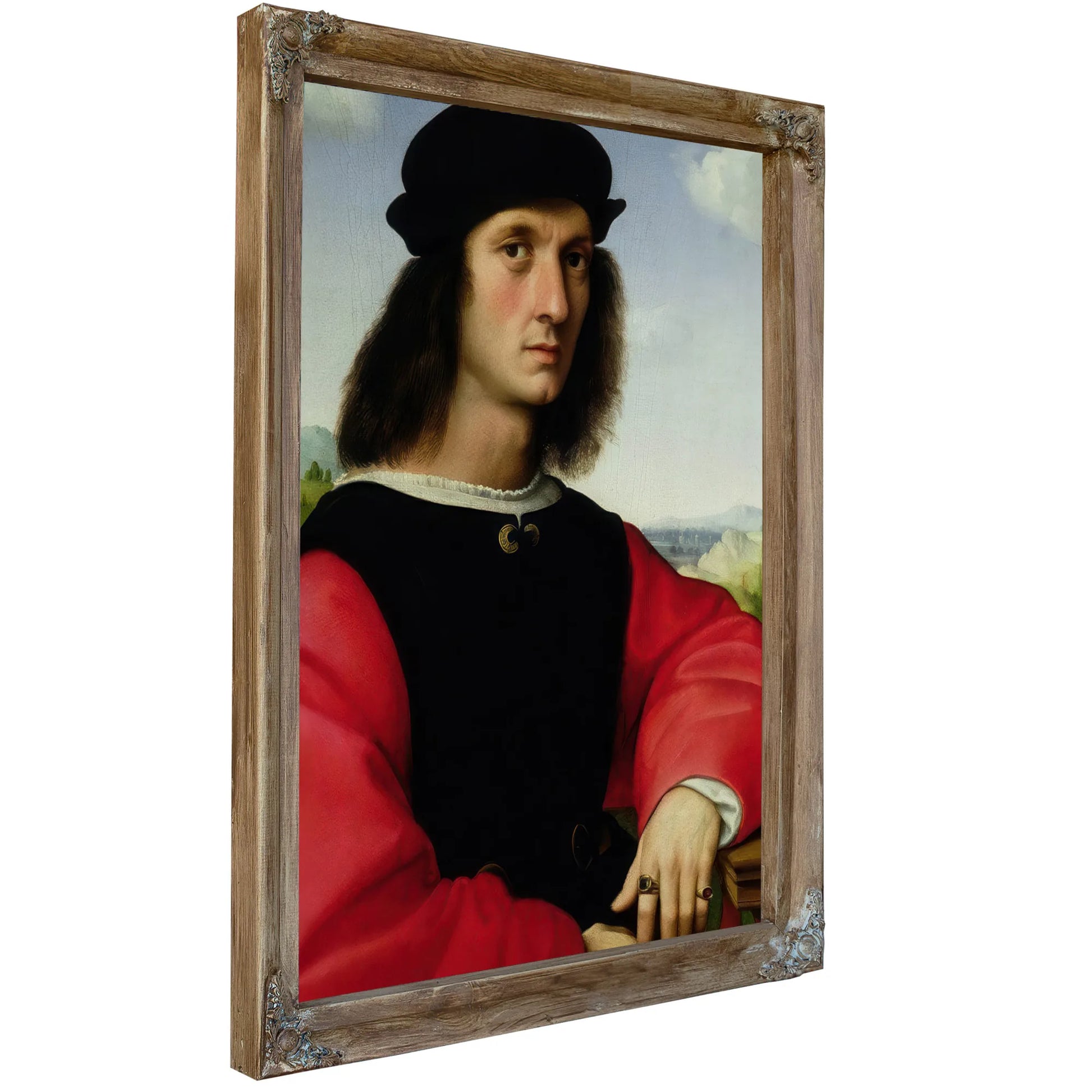 Portrait Of Agnolo Doni By Raphael Fine Art Print