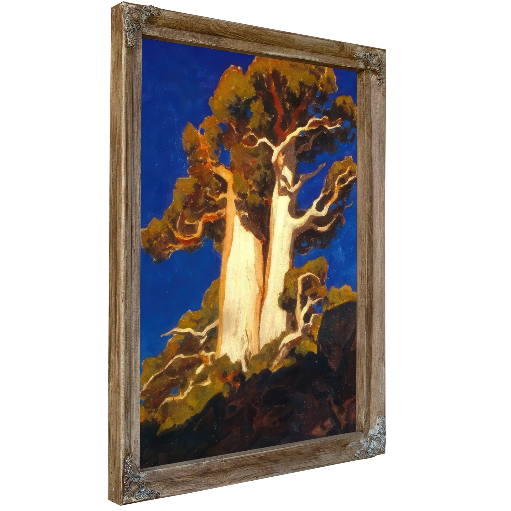 Mountain Juniper By Maynard Dixon Fine Art Print