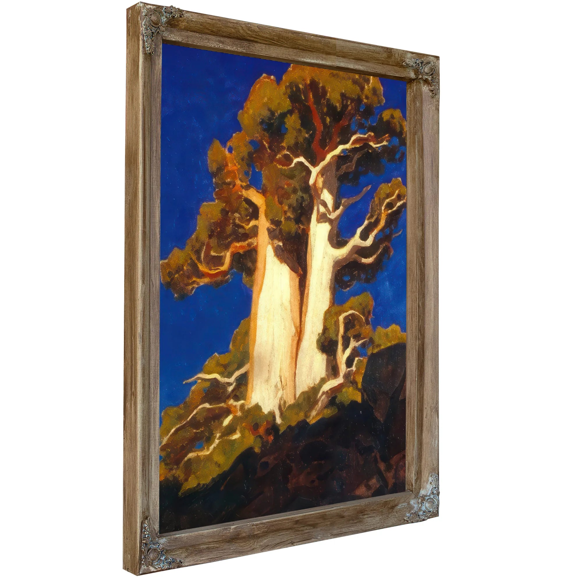 Mountain Juniper By Maynard Dixon Fine Art Print