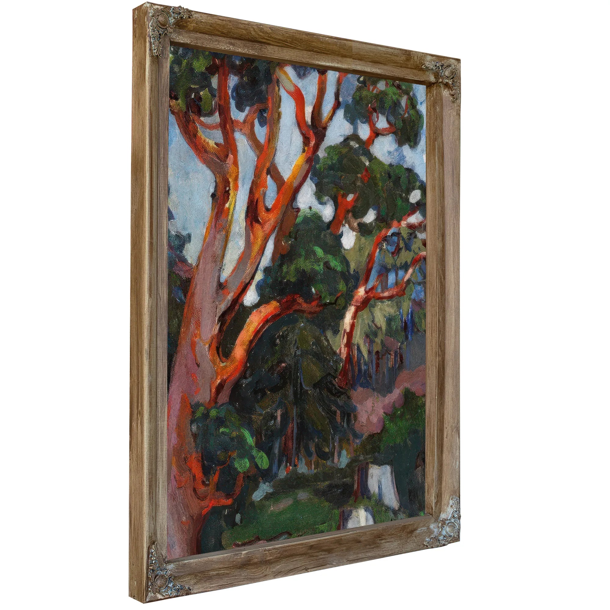 Arbutus Tree 1922 By Emily Carr Fine Art Print