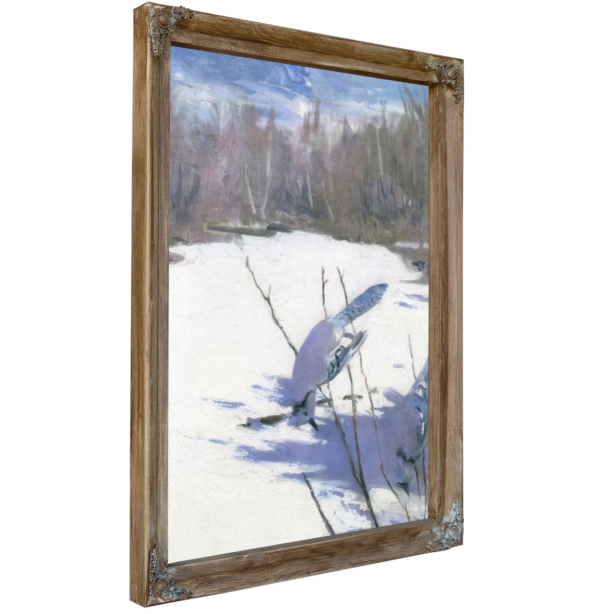 Blue Jays In Winter, Study For Book Concealing Coloration In The Animal Kingdom By Abbott Handerson Thayer Fine Art Print