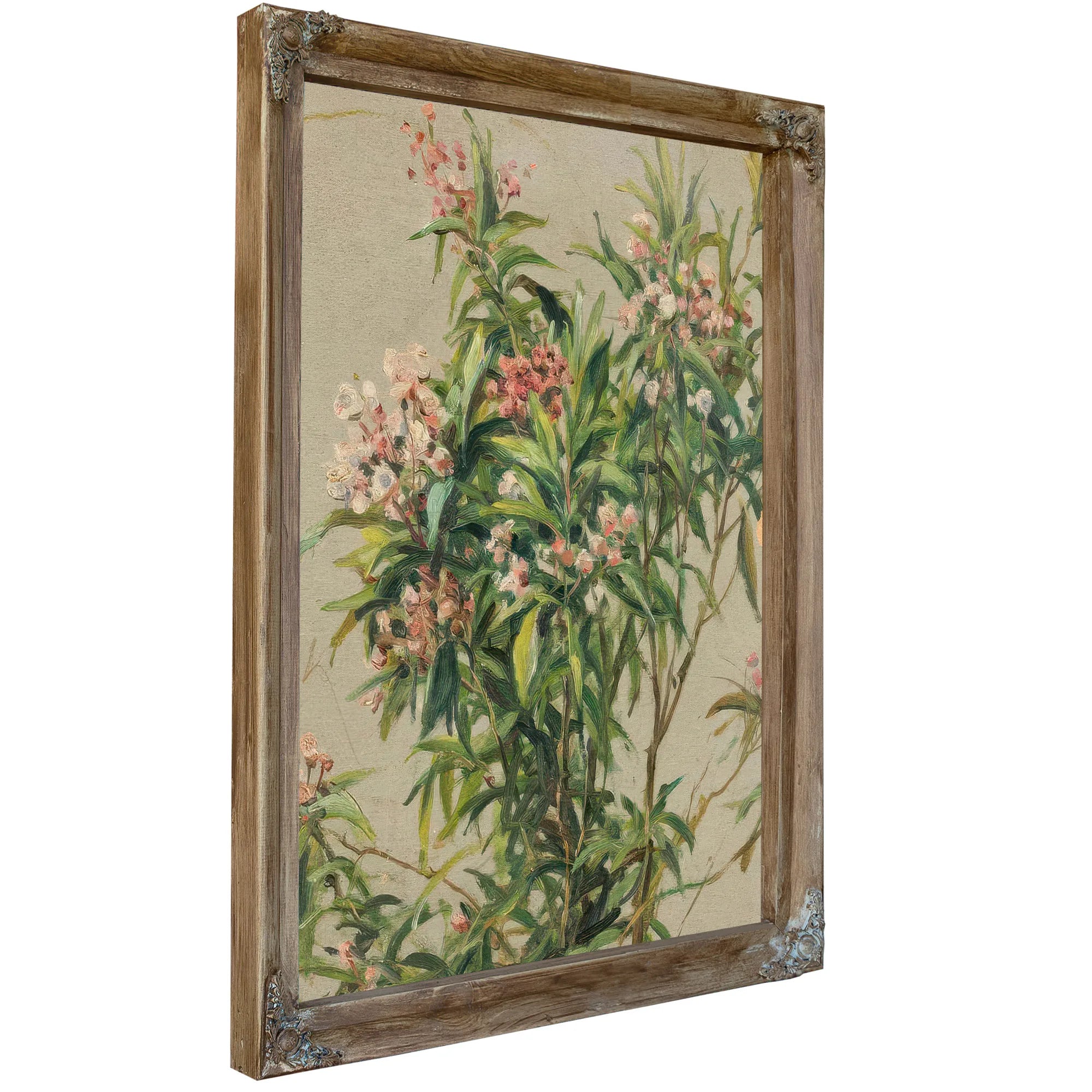 Study Of An Oleander By Louis Aston Knight Fine Art Print