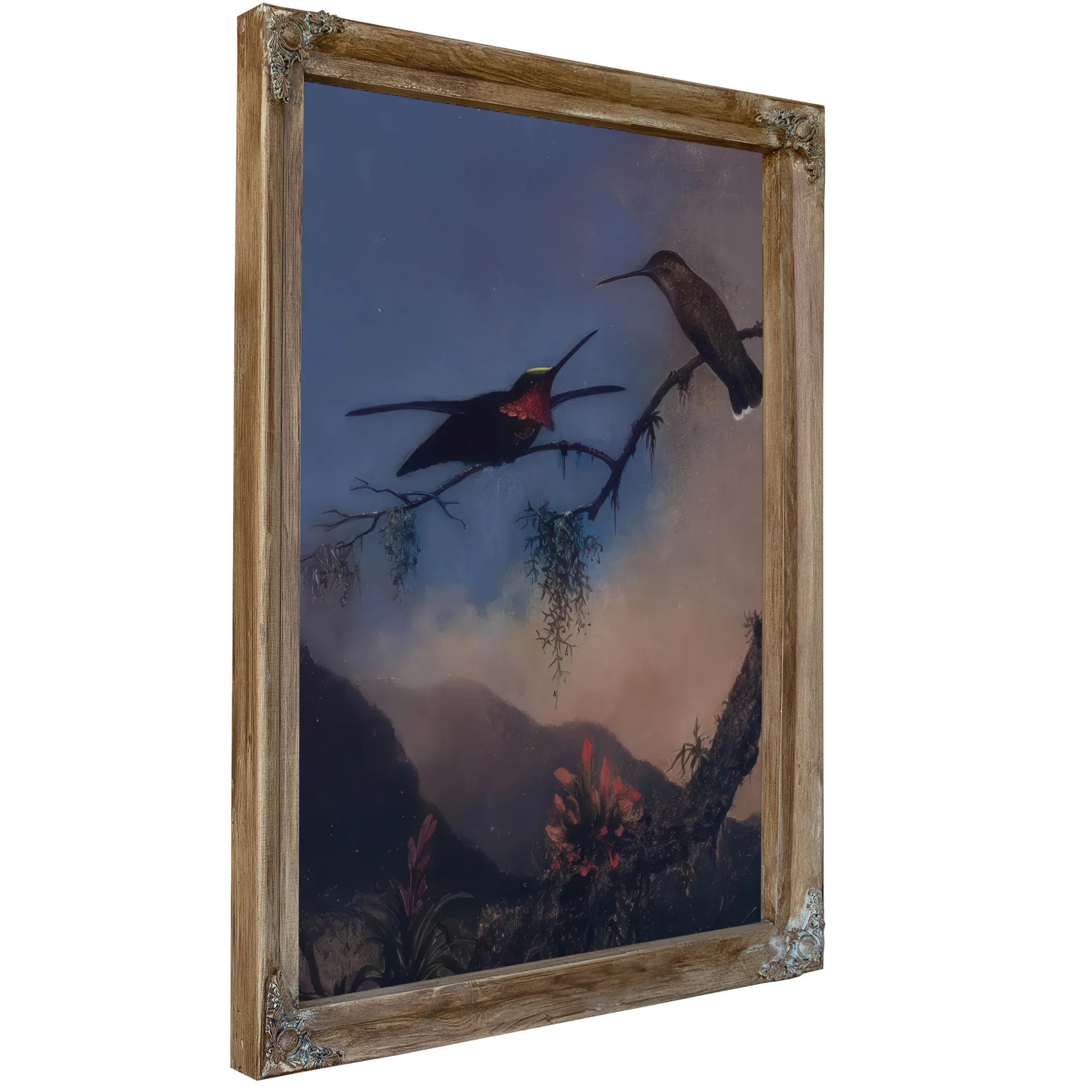 Stripe Breasted Starthroat By Martin Johnson Heade Fine Art Print