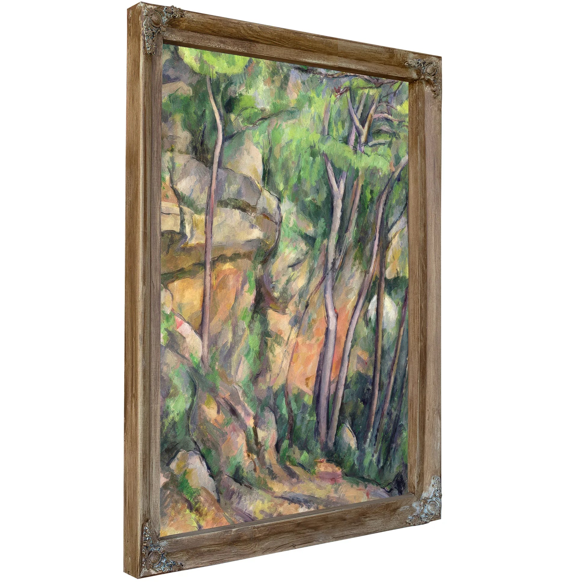 In The Park Of Chateau Noir By Paul Cezanne Fine Art Print