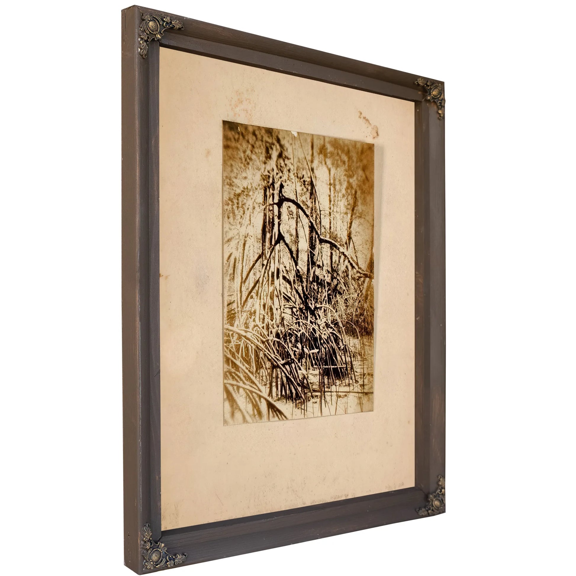 Photo Of Marsh, Study Folder For Book Concealing Coloration In The Animal Kingdom By Abbott Handerson Thayer Fine Art Print