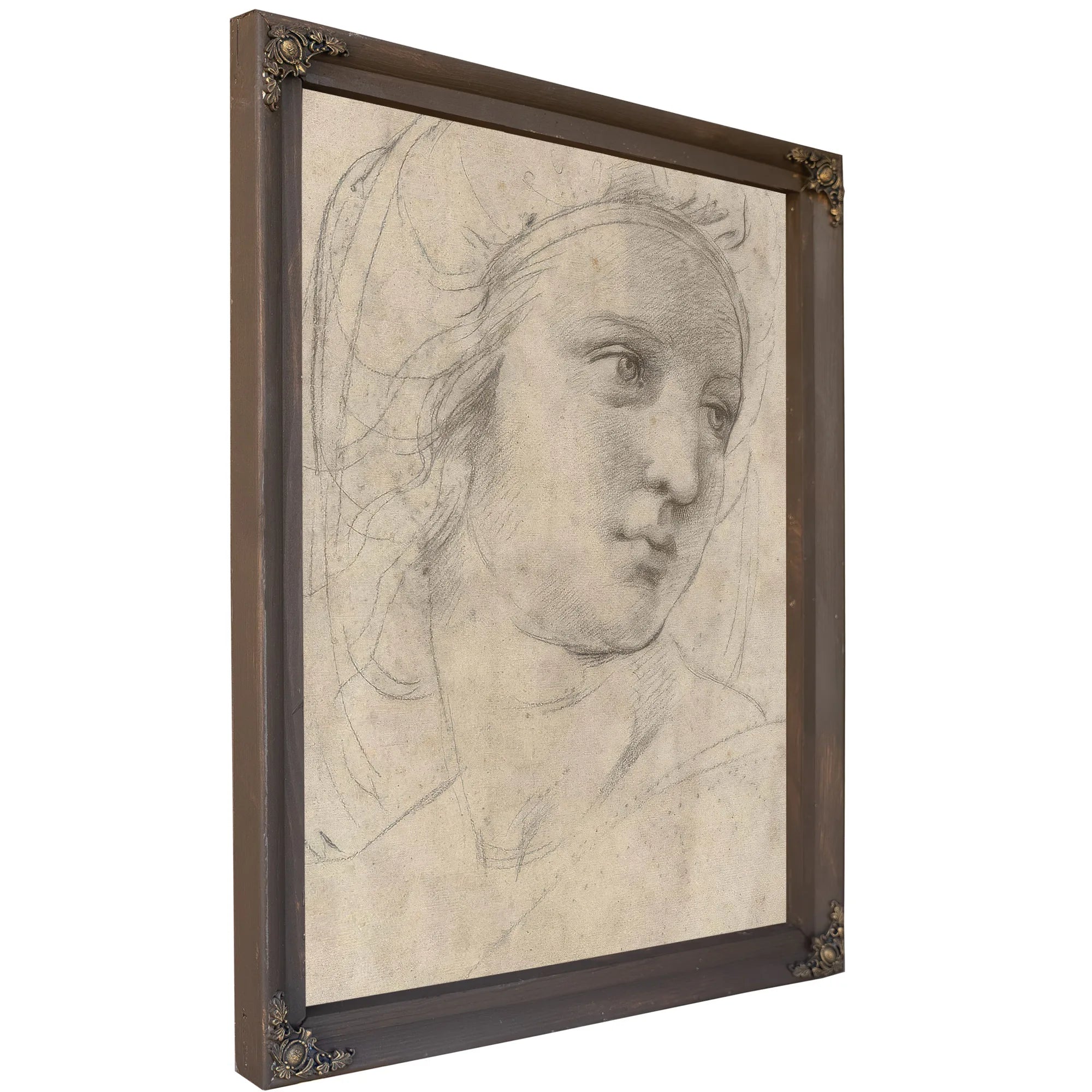 Head Of A Muse By Raphael Fine Art Print