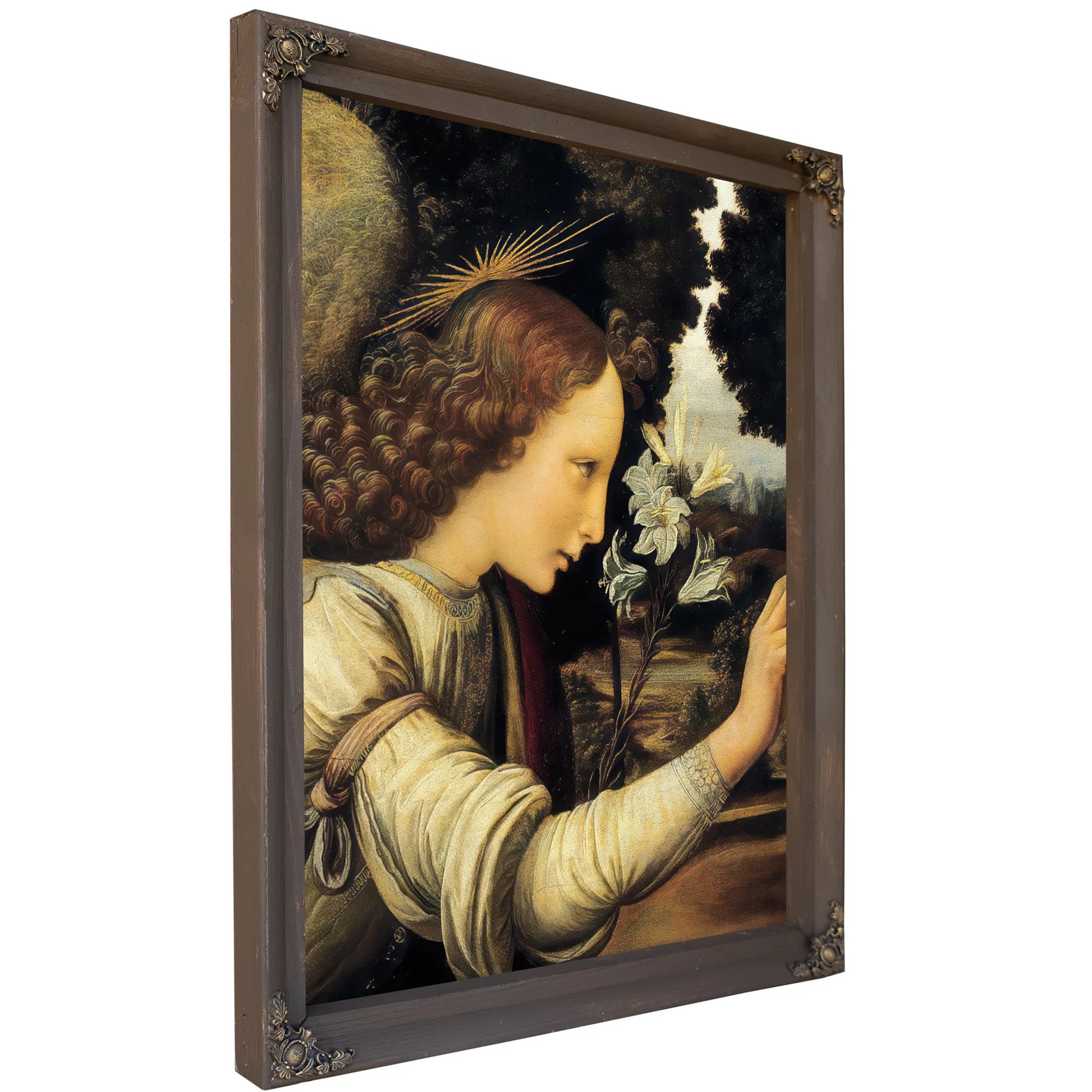 Angel By Leonardo Da Vinci Fine Art Print