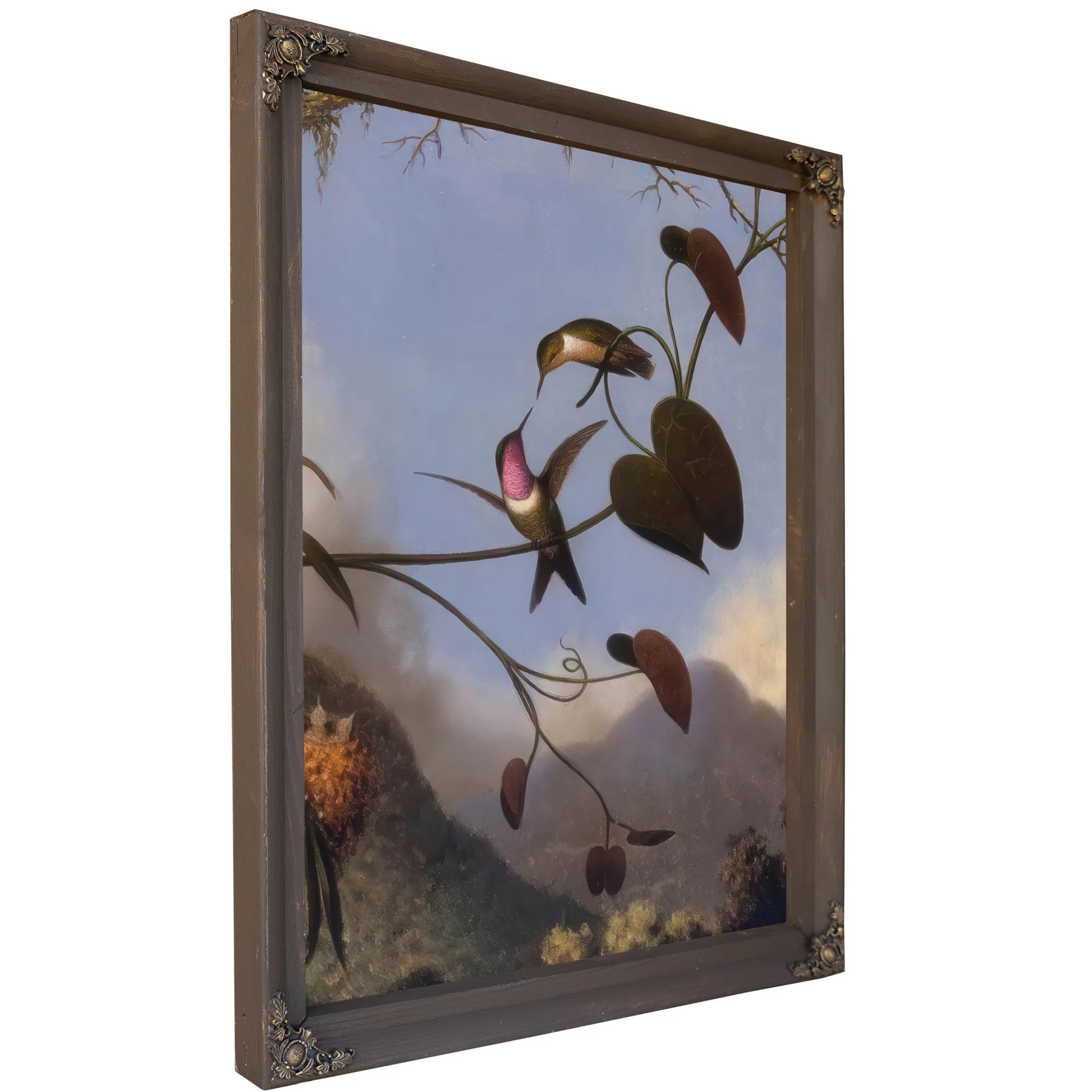 Amethyst Woodstar By Martin Johnson Heade Fine Art Print