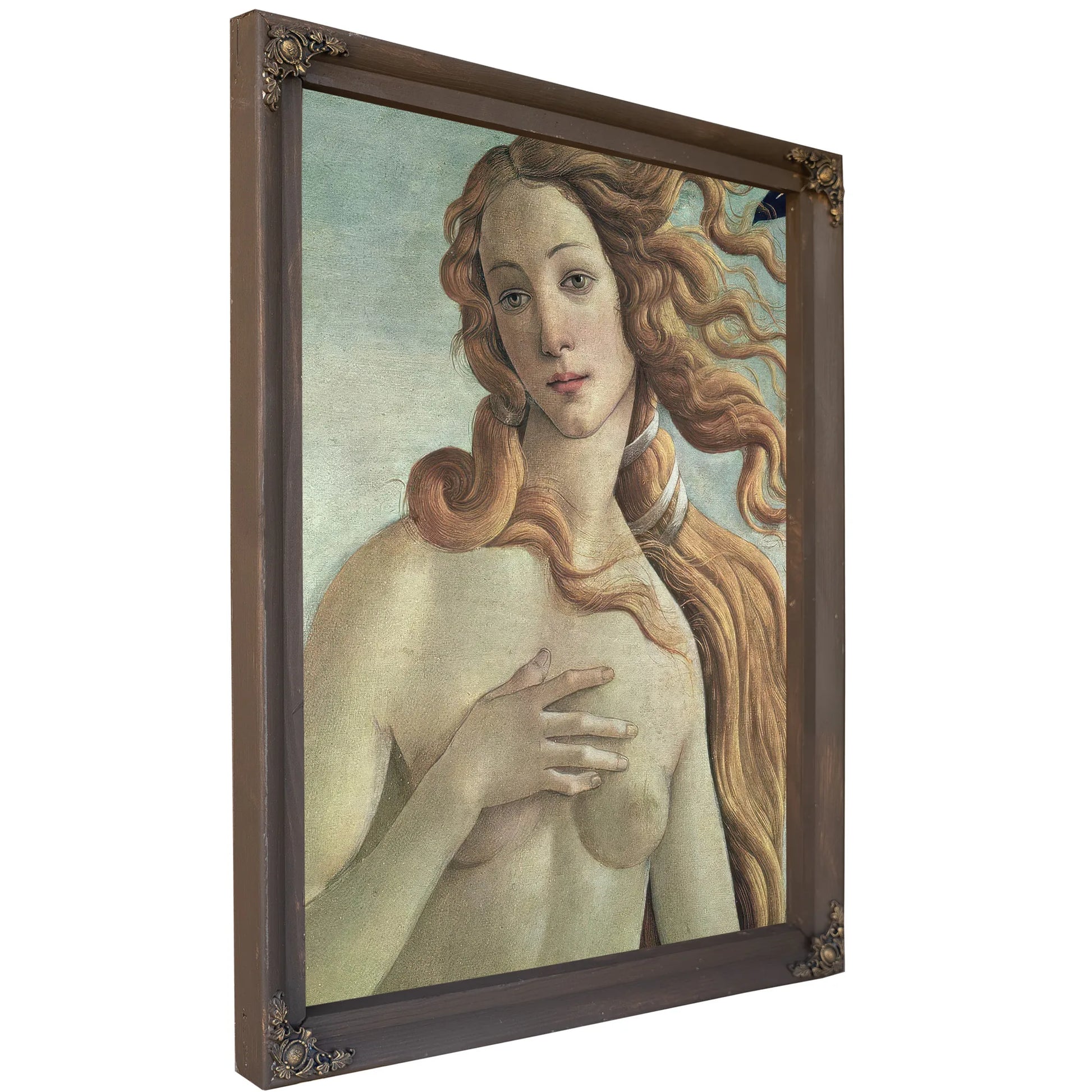 Venus Detail From The Birth Of Venus By Sandro Botticelli Fine Art Print