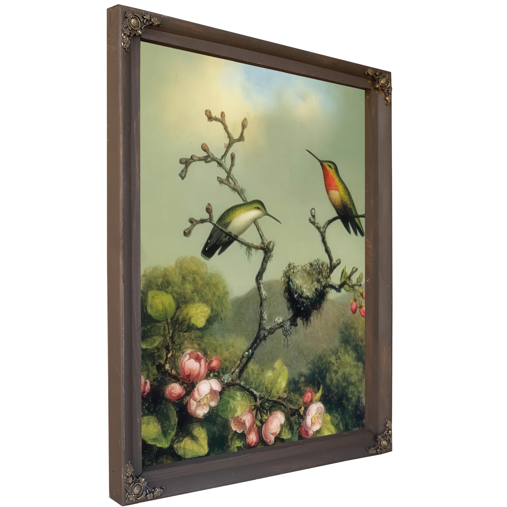 Ruby Throat Of North America By Martin Johnson Heade Fine Art Print