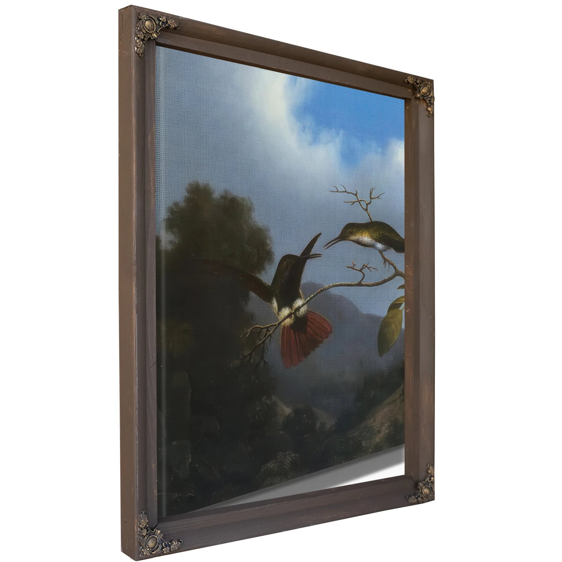 Black Throated Mango By Martin Johnson Heade Fine Art Print