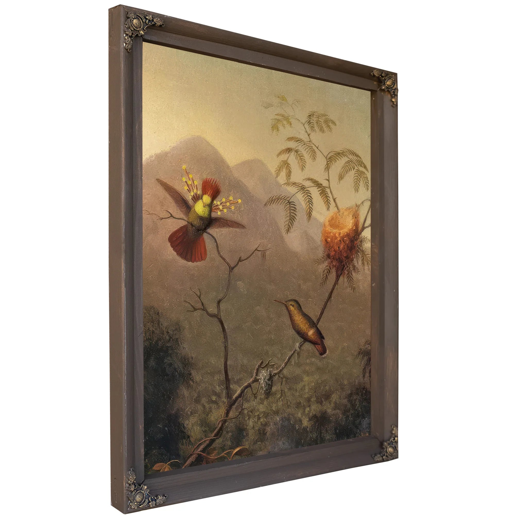 Tufted Coquette By Martin Johnson Heade Fine Art Print