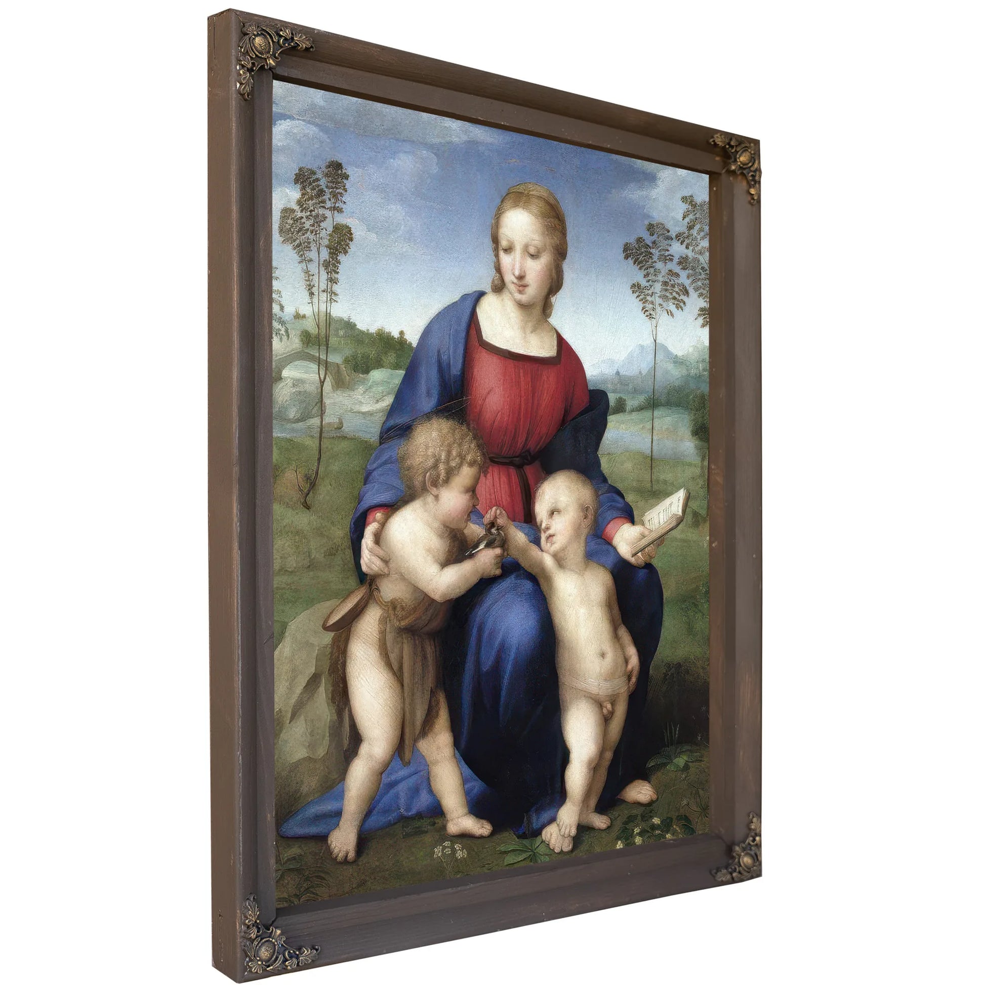 Madonna Del Cardellino (Madonna Of The Goldfinch) By Raphael Fine Art Print