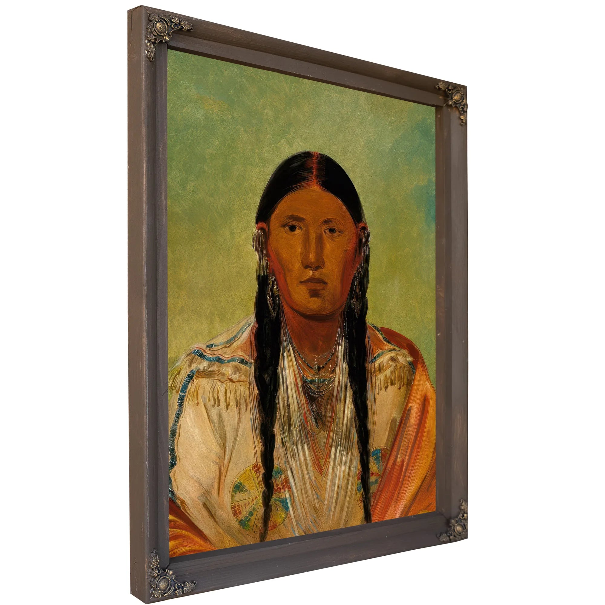 Ru Ton Wee Me, Pigeon On The Wing By George Catlin Fine Art Print
