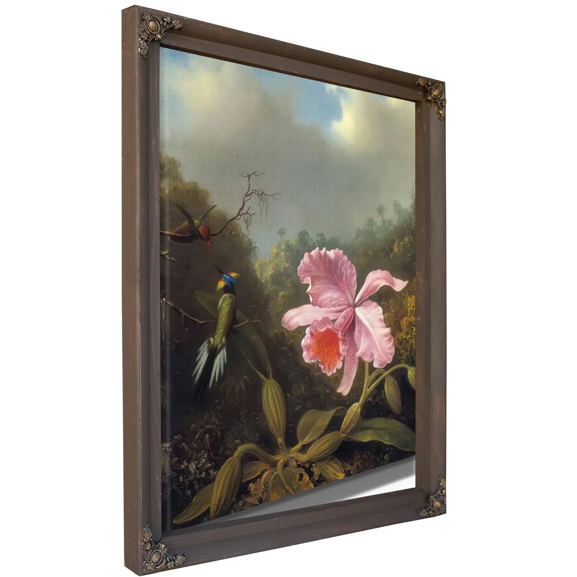 Fighting Hummingbirds With Pink Orchid By Martin Johnson Heade Fine Art Print