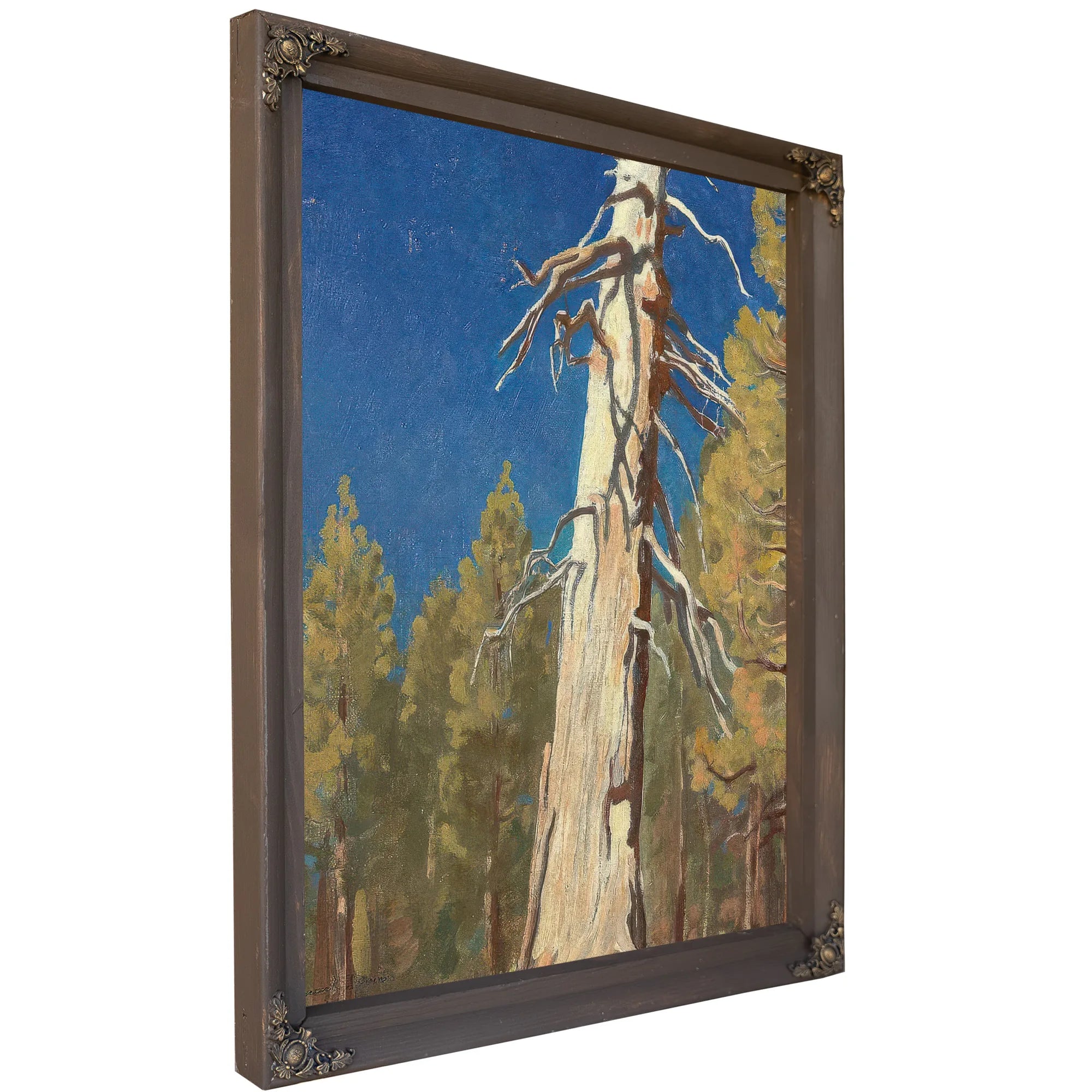 Fallen Leaf 1933 By Maynard Dixon Fine Art Print