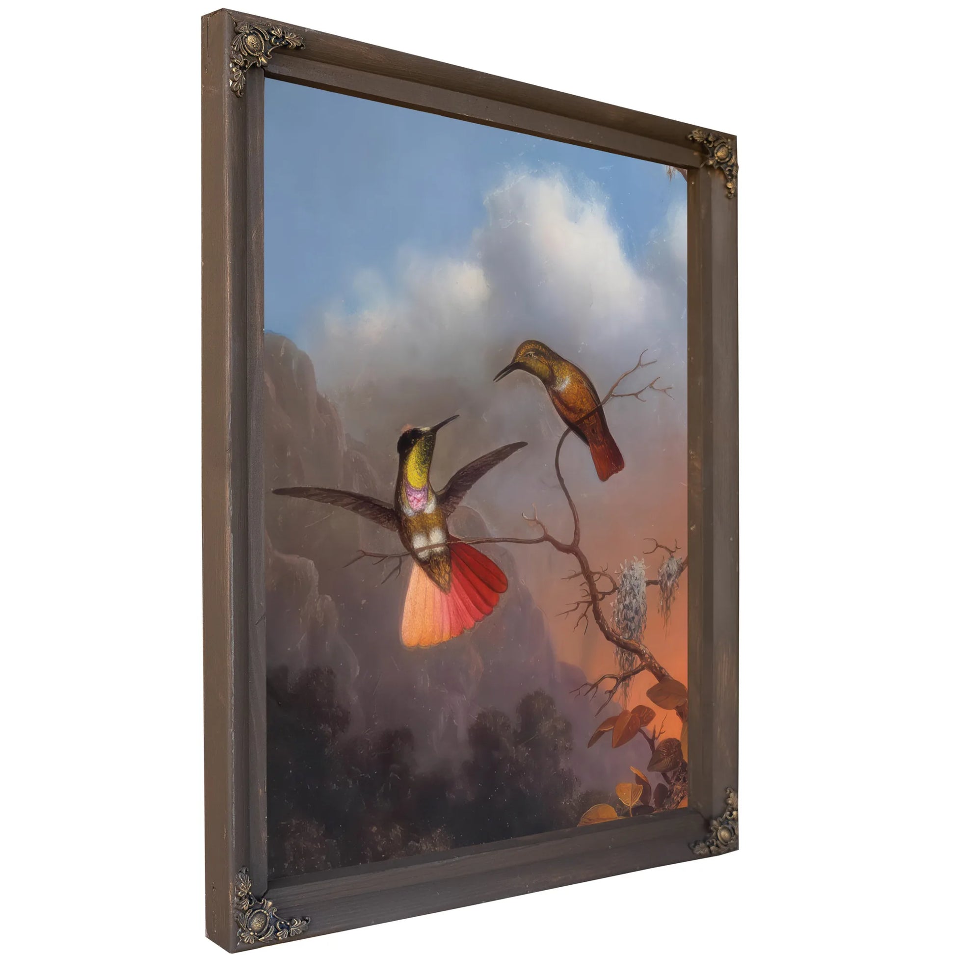 Hooded Visorbearer By Martin Johnson Heade Fine Art Print