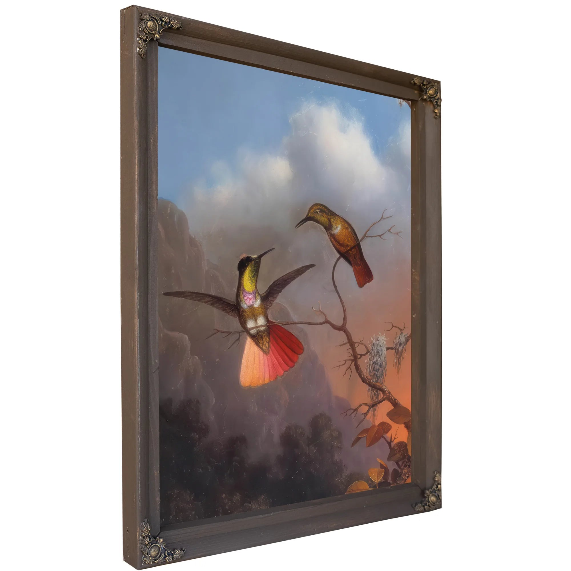 Hooded Visorbearer By Martin Johnson Heade Fine Art Print