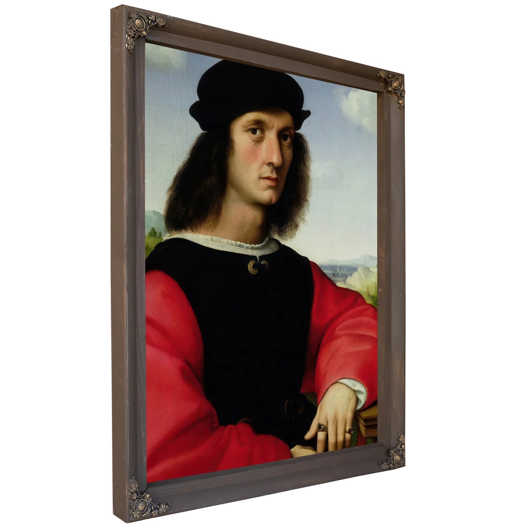 Portrait Of Agnolo Doni By Raphael Fine Art Print