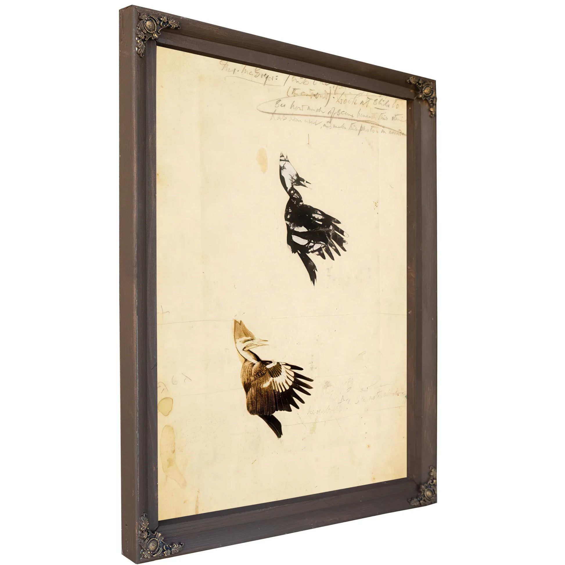 2 Rush Stencils, Study Folder For Book Concealing Coloration In The Animal Kingdom By Abbott Handerson Thayer Fine Art Print