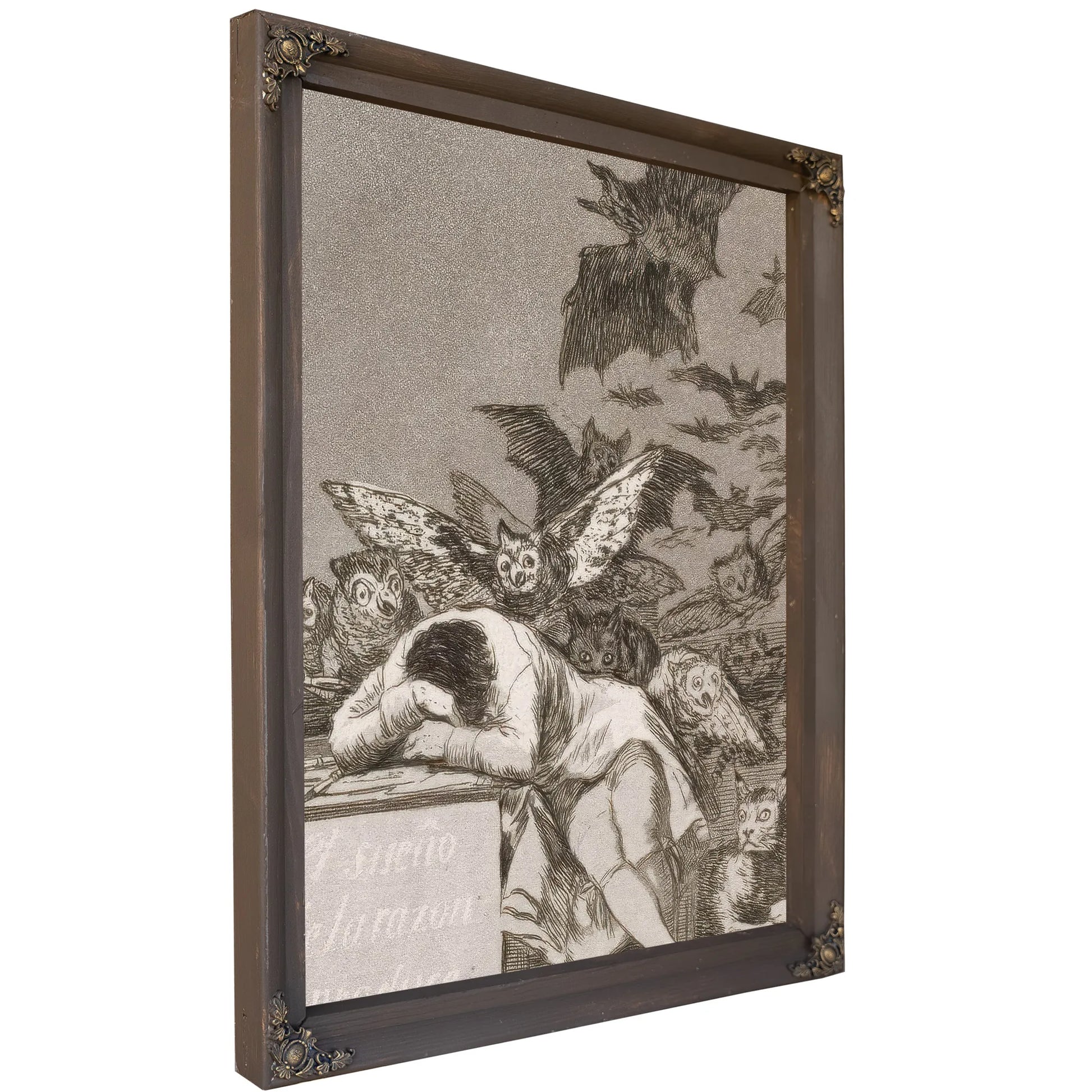 goya the sleep of reason produces monsters Francisco De Goya The Sleep Of Reason Print, Canvas Art, Framed Print. – Truly Art