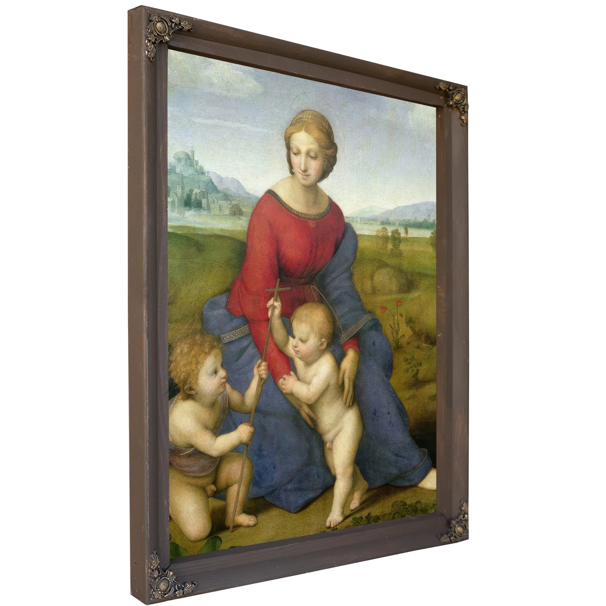 Madonna In The Meadow by Raphael Fine Art Print