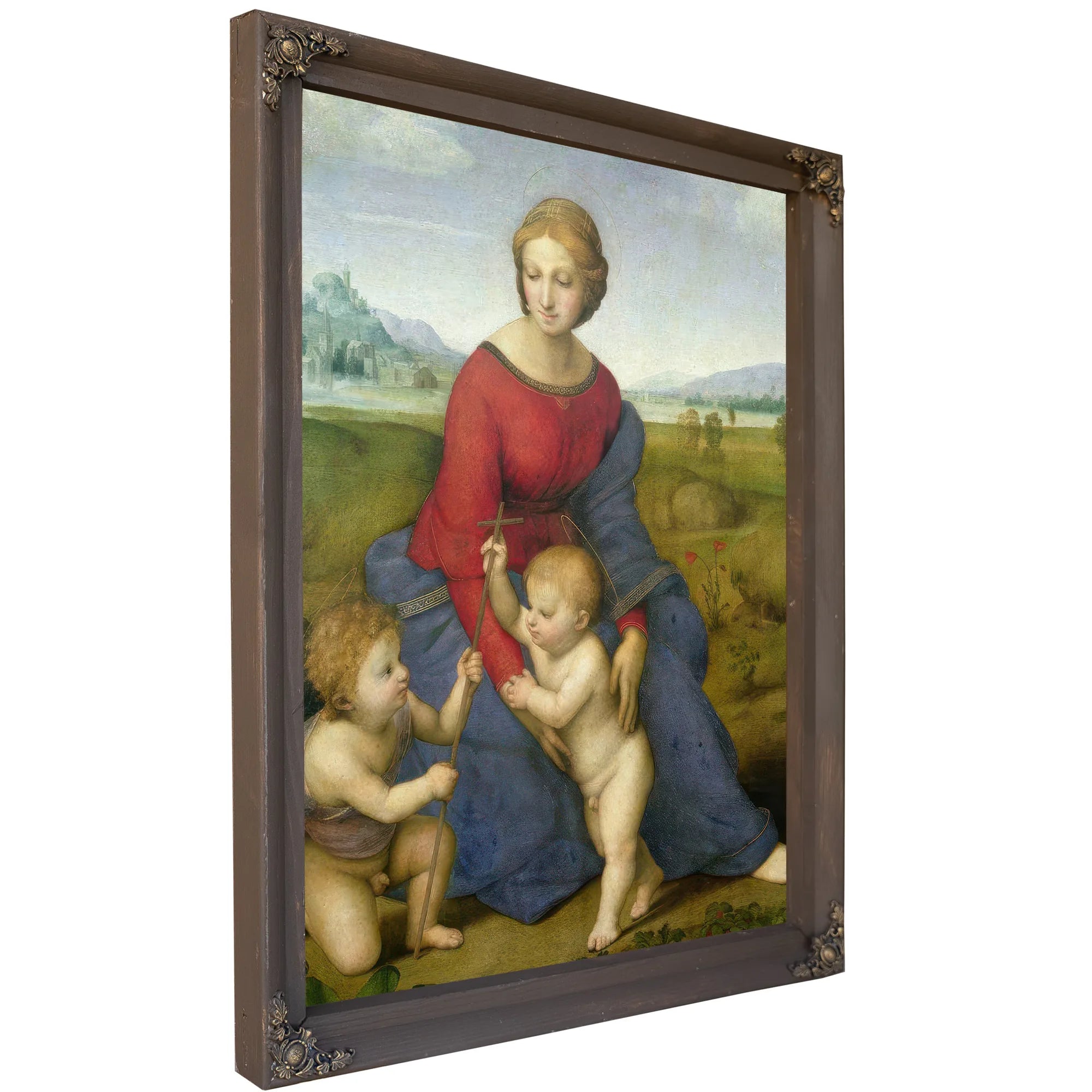 Madonna In The Meadow by Raphael Fine Art Print