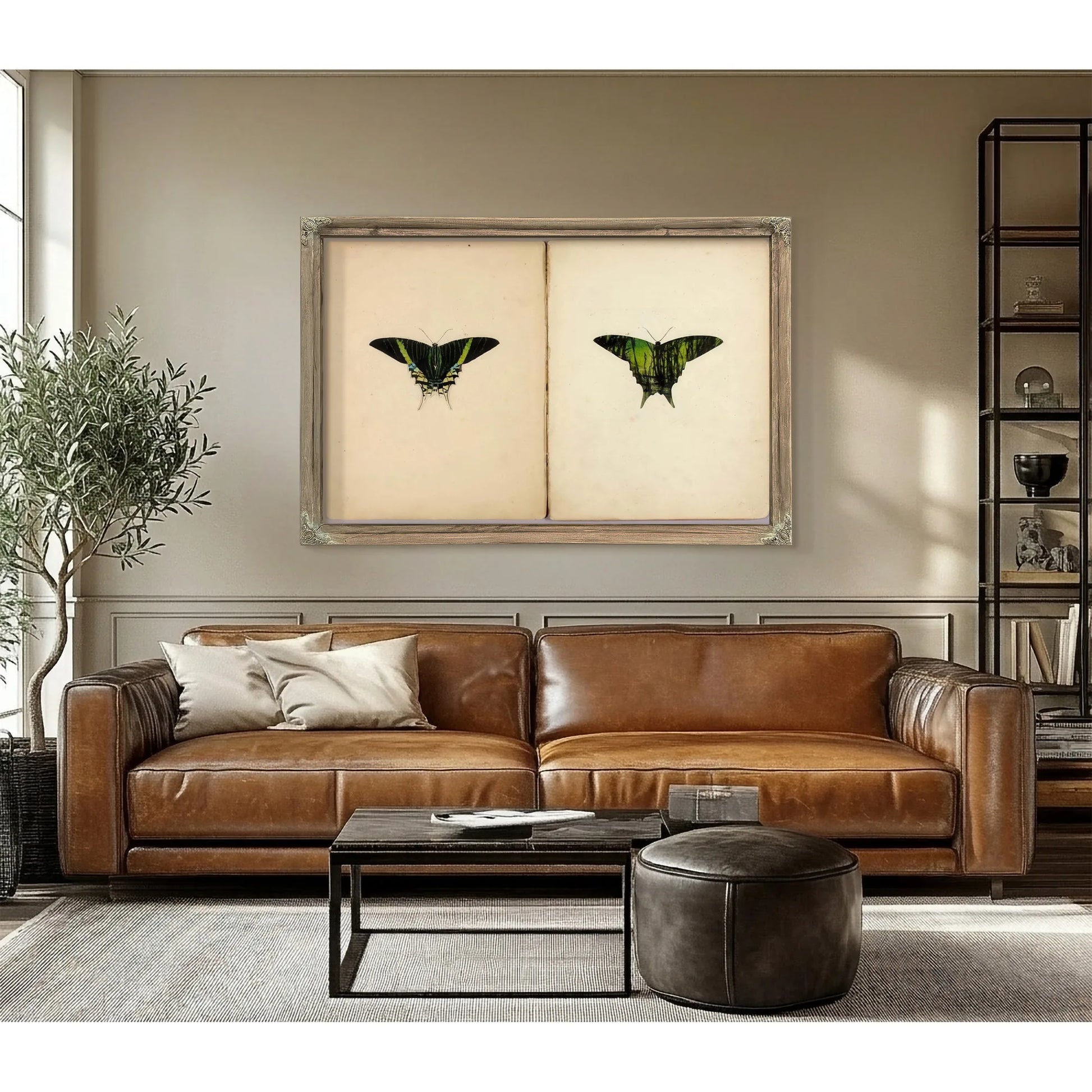 Urania Moth, Study Folder For Book Concealing Coloration In The Animal Kingdom By Abbott Handerson Thayer Fine Art Print