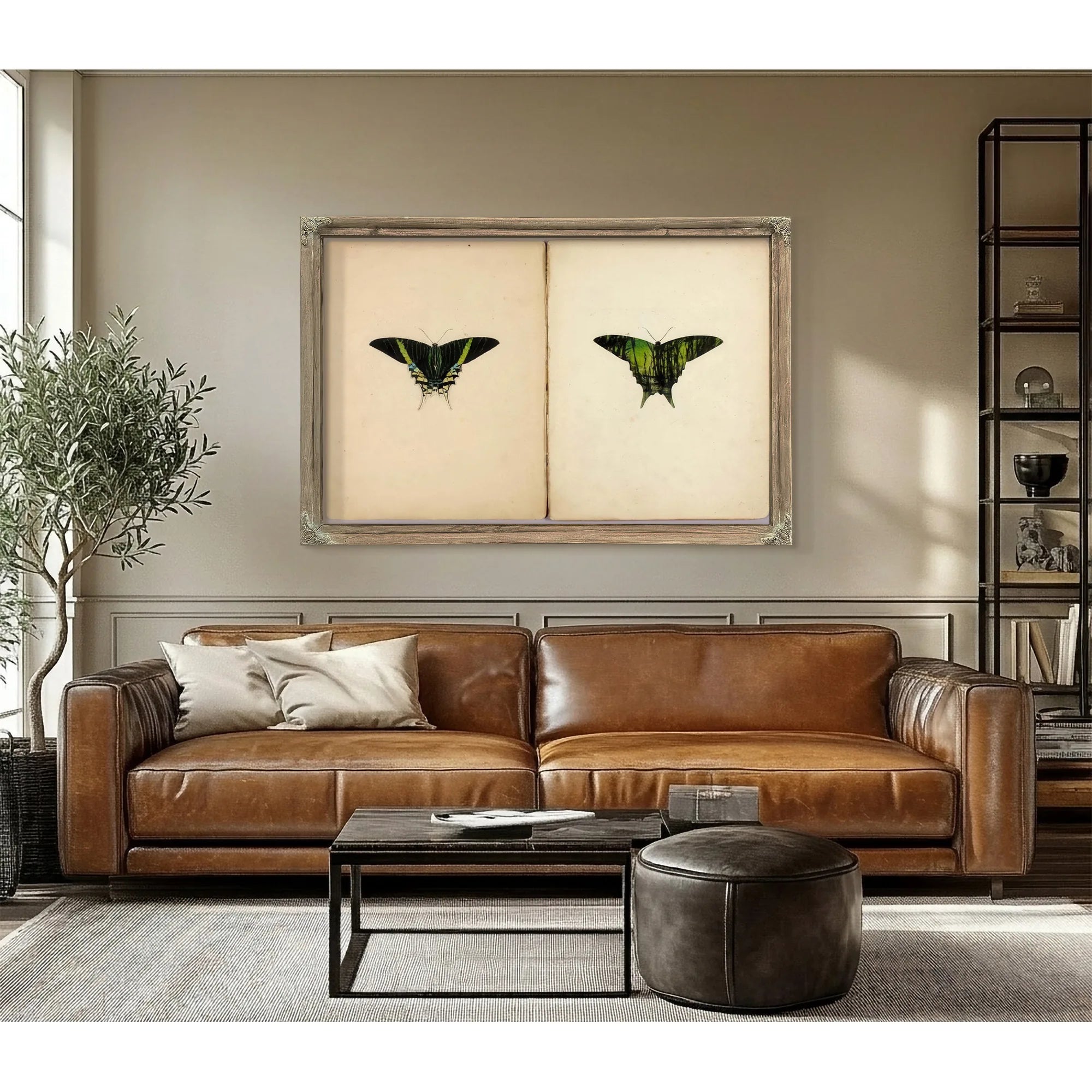 Urania Moth, Study Folder For Book Concealing Coloration In The Animal Kingdom By Abbott Handerson Thayer Fine Art Print