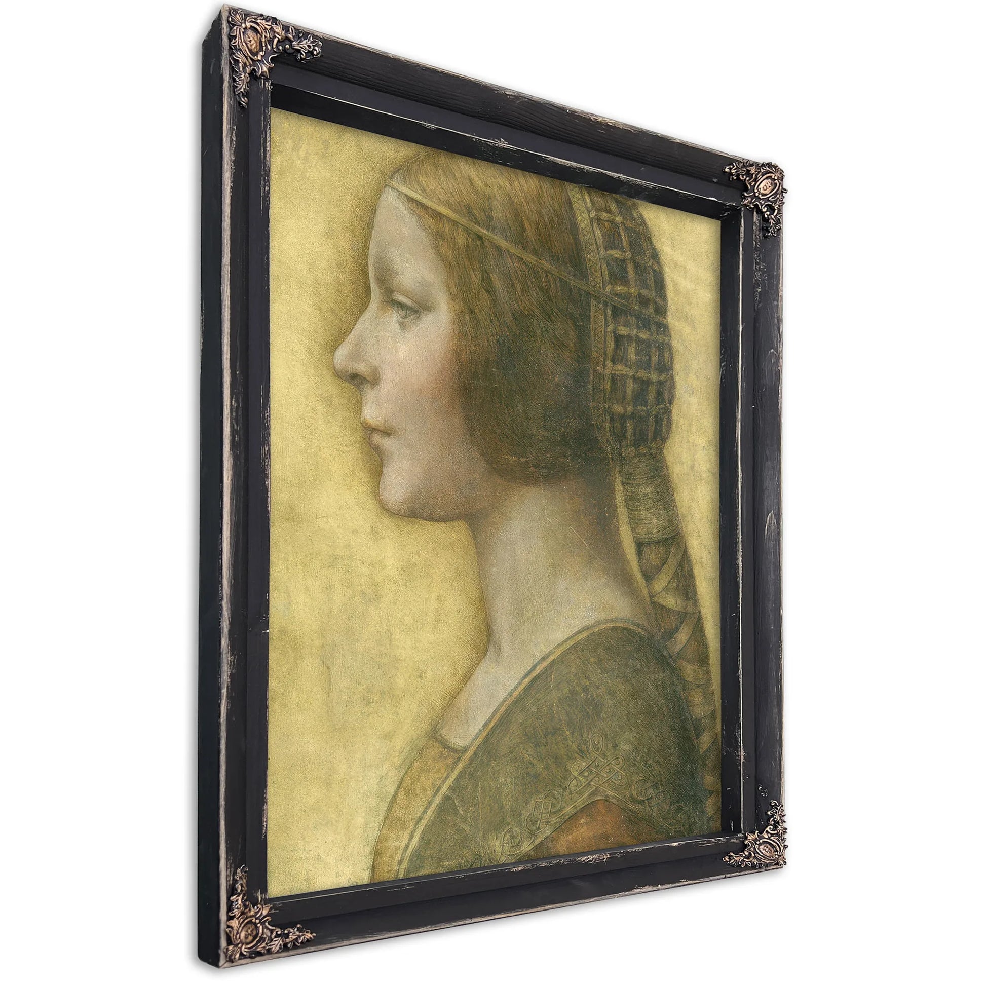 La Bella Principessa By Leonardo Da Vinci Fine Art Print