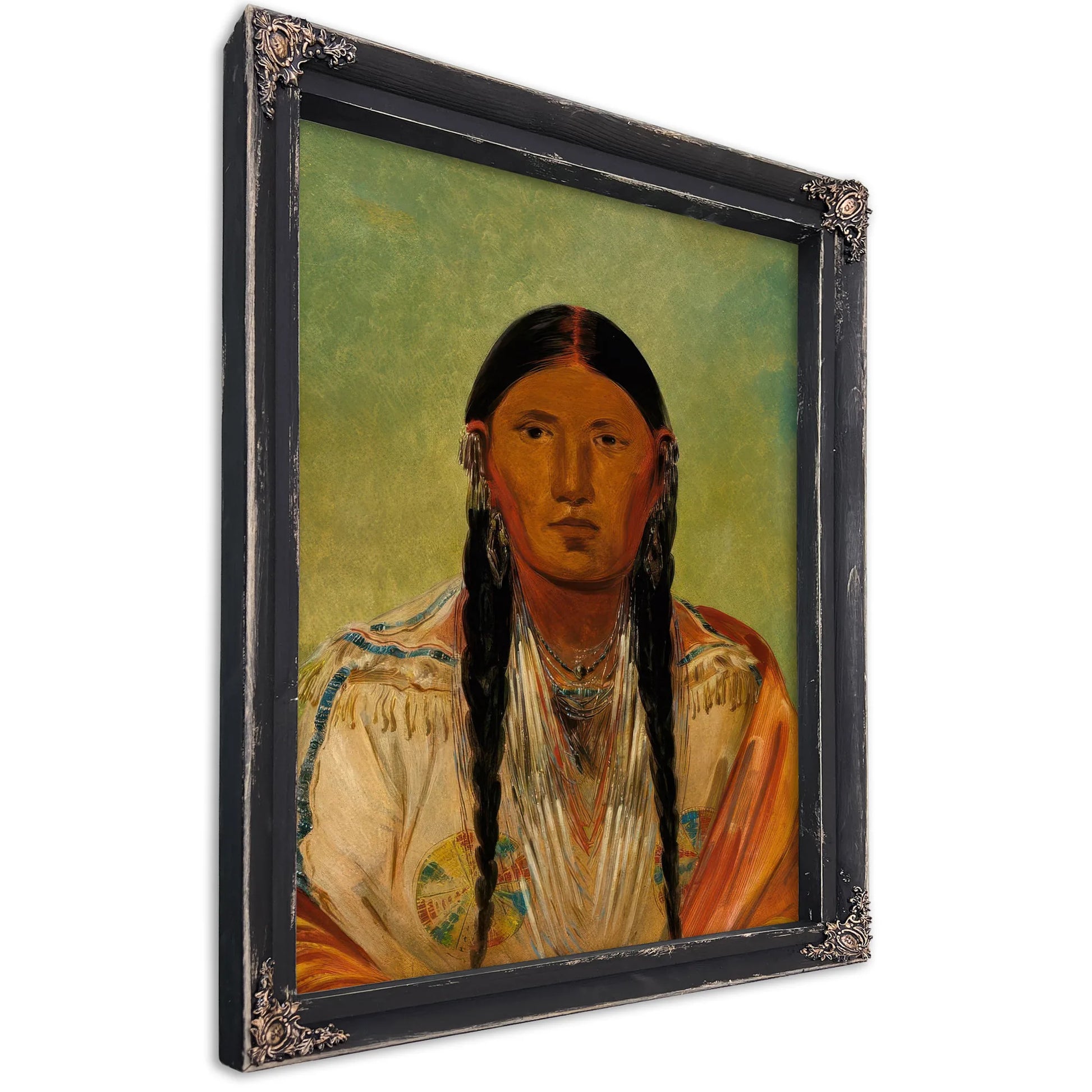 Ru Ton Wee Me, Pigeon On The Wing By George Catlin Fine Art Print