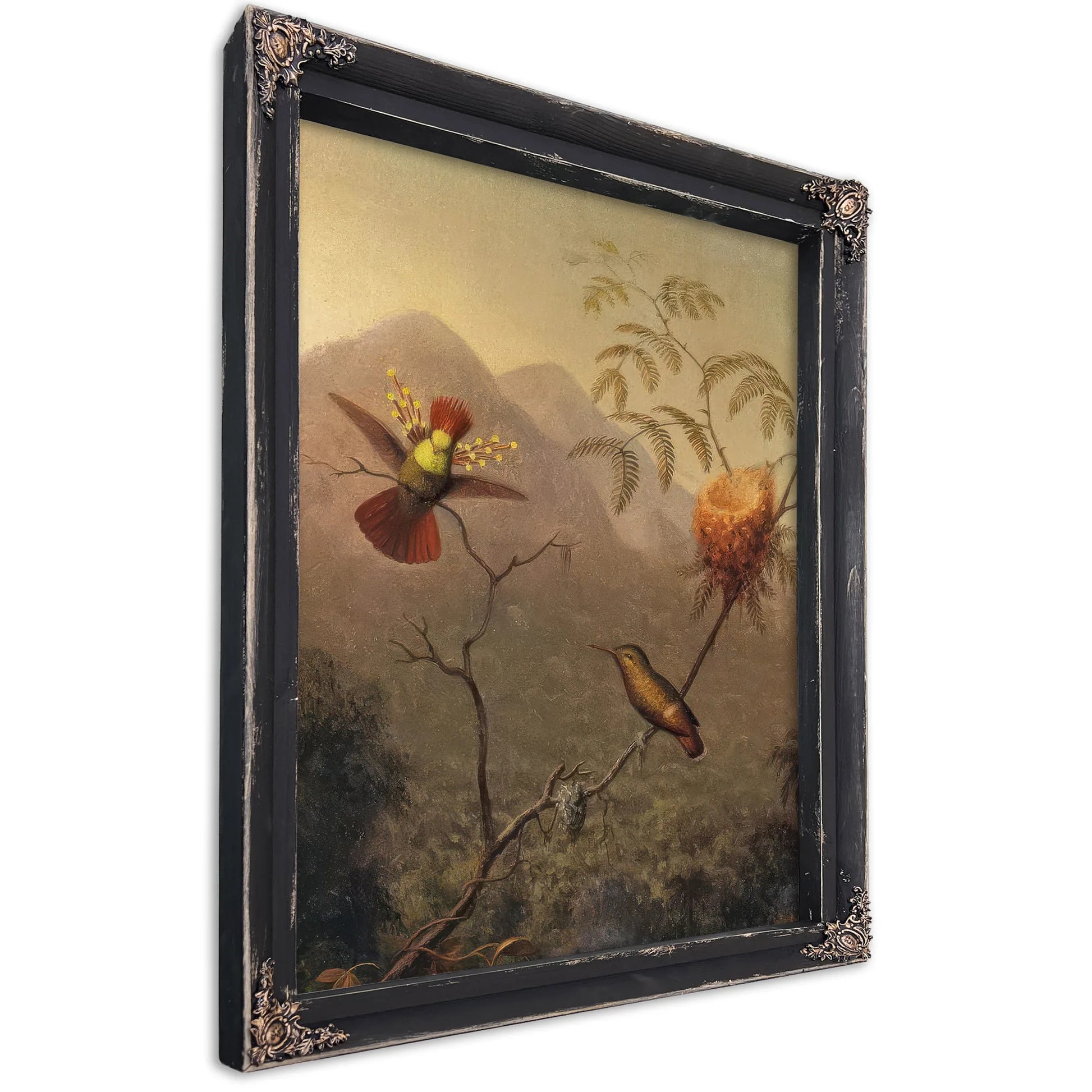Tufted Coquette By Martin Johnson Heade Fine Art Print