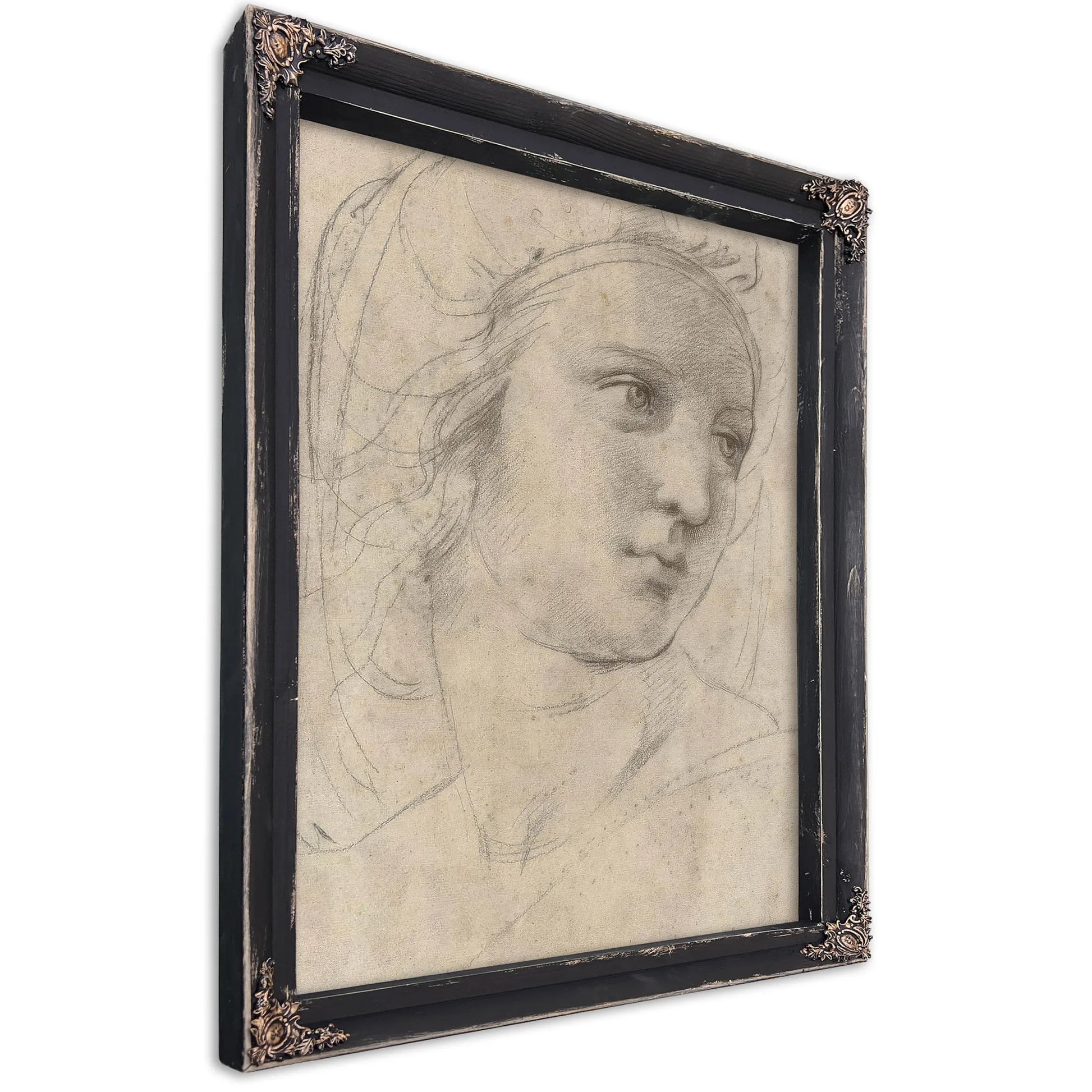 Head Of A Muse By Raphael Fine Art Print
