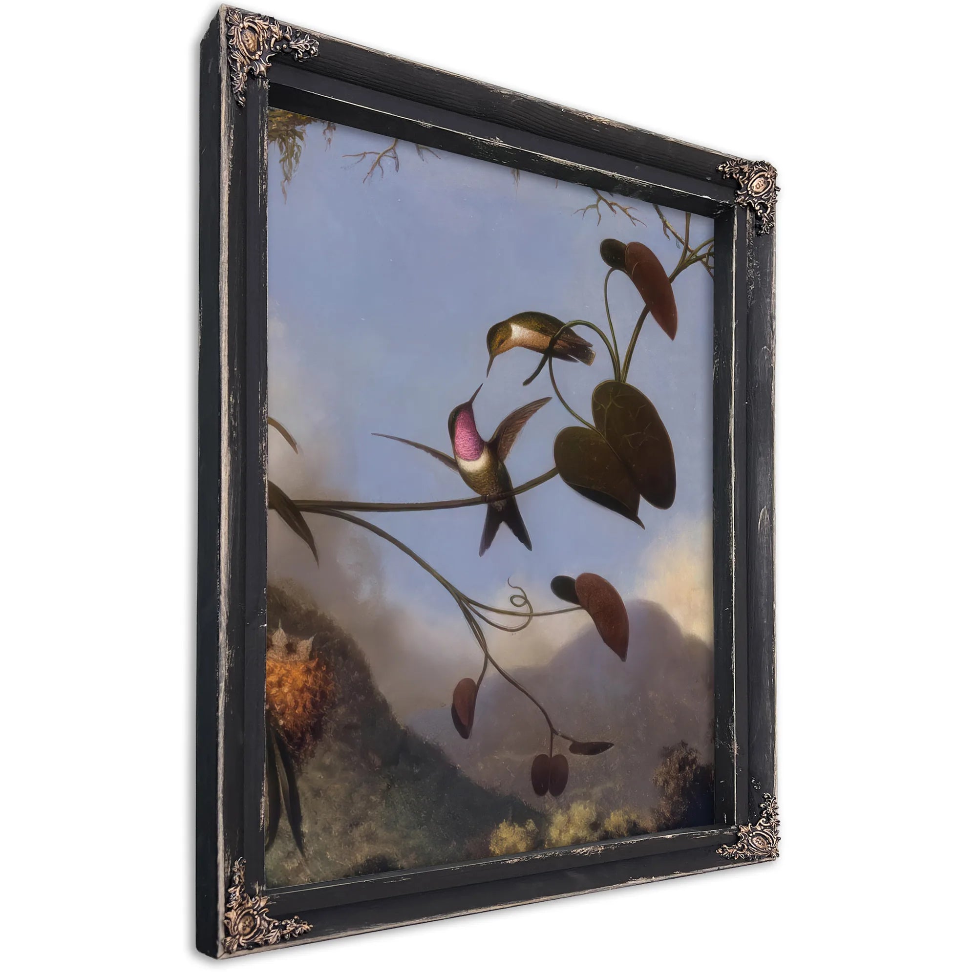 Amethyst Woodstar By Martin Johnson Heade Fine Art Print
