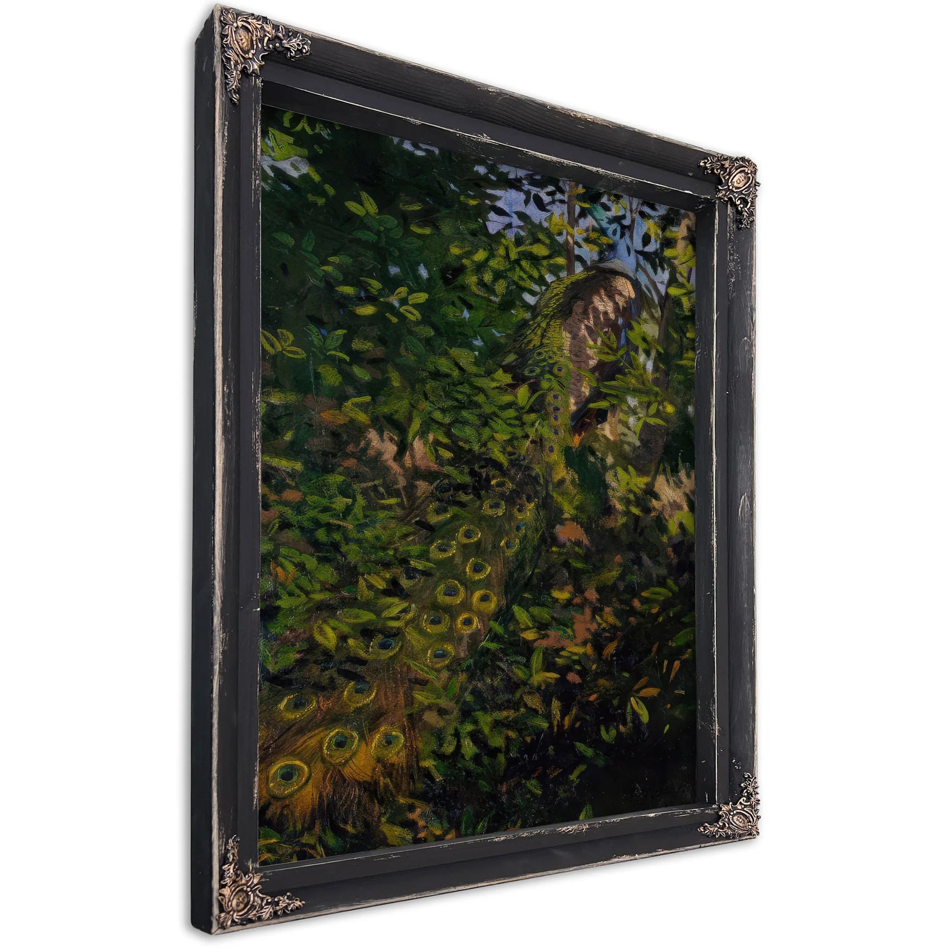 Peacock In The Woods, Study For Book Concealing Coloration In The Animal Kingdom By Abbott Handerson Thayer Fine Art Print