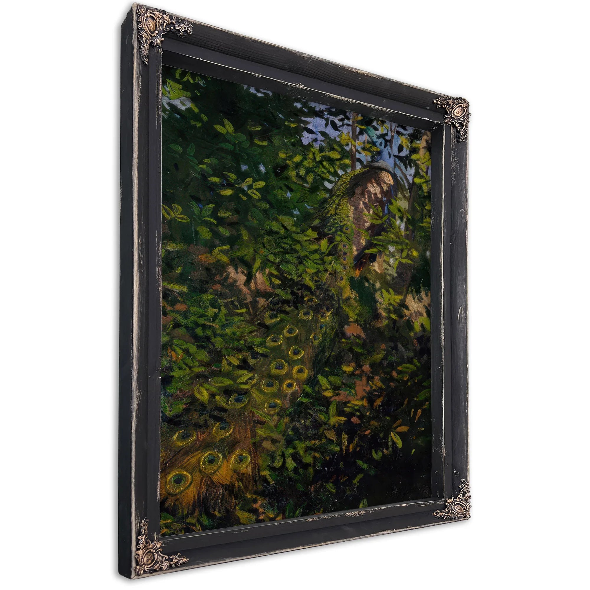 Peacock In The Woods, Study For Book Concealing Coloration In The Animal Kingdom By Abbott Handerson Thayer Fine Art Print