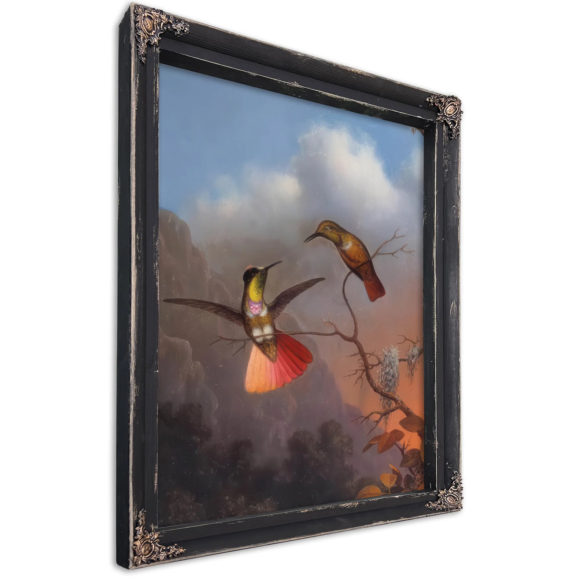 Hooded Visorbearer By Martin Johnson Heade Fine Art Print
