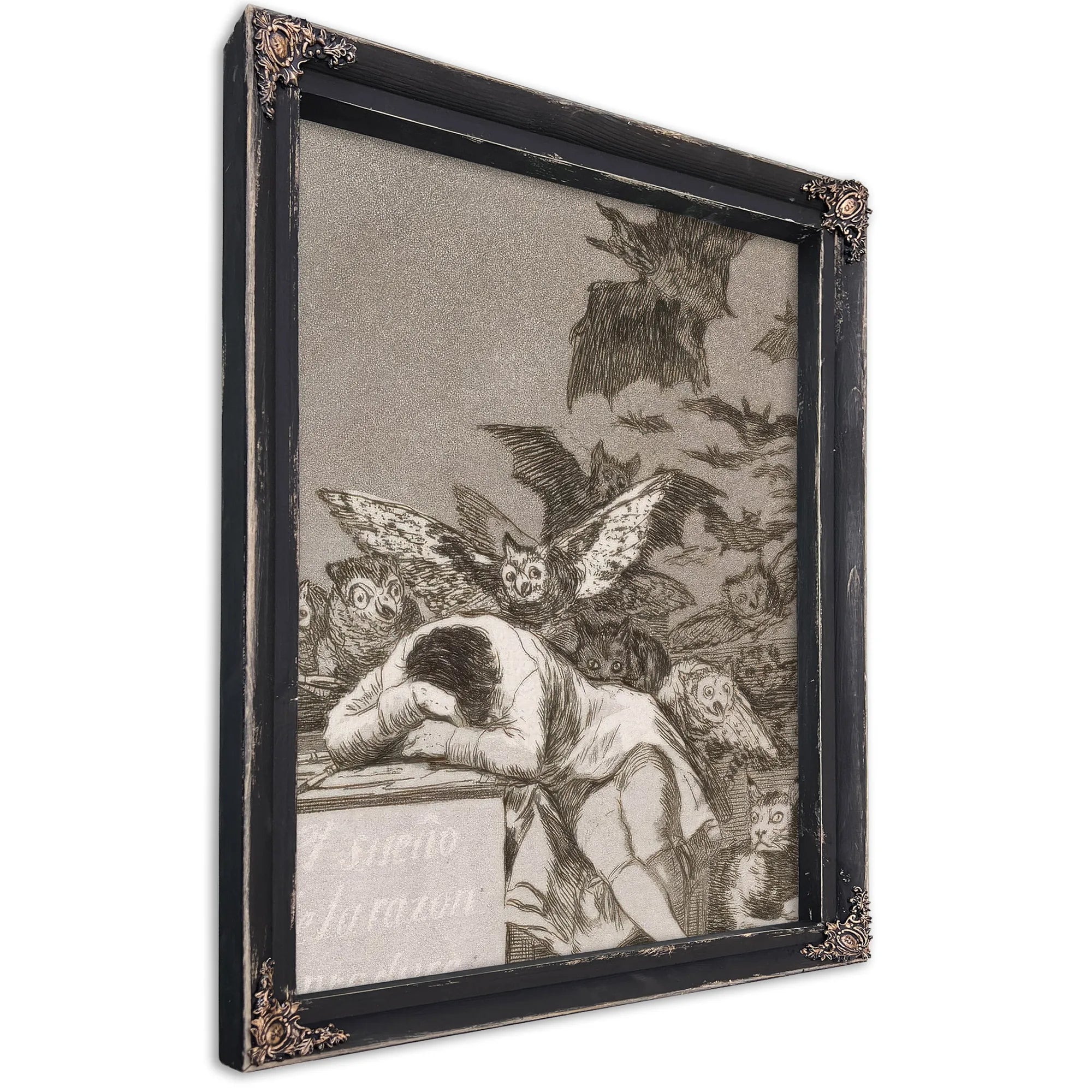 Francisco De Goya The Sleep Of Reason Produces Monsters 1799 By Francisco De Goya Fine Art Print