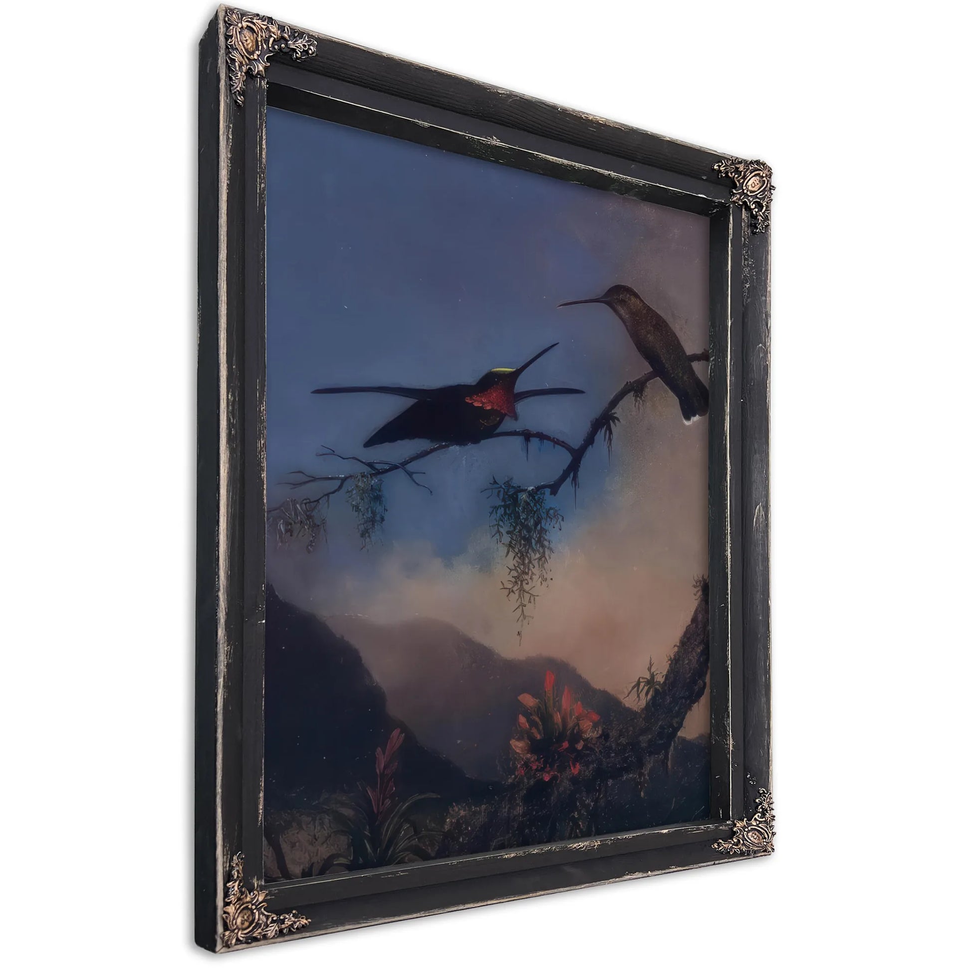Stripe Breasted Starthroat By Martin Johnson Heade Fine Art Print