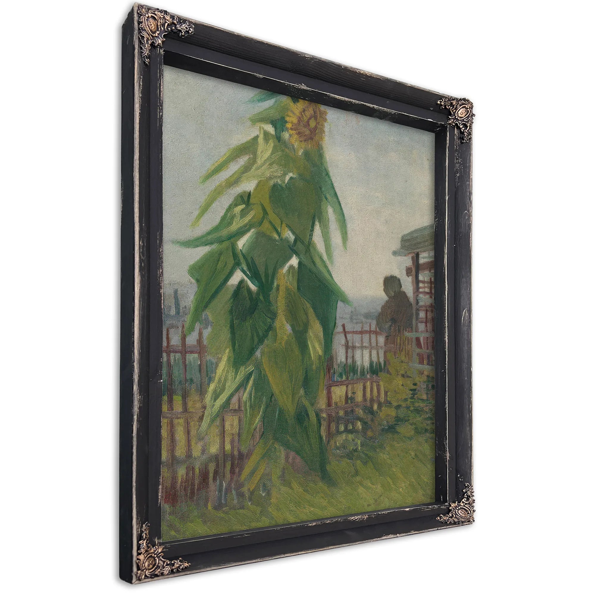 Allotment With Sunflower By Vincent Van Gogh Fine Art Print