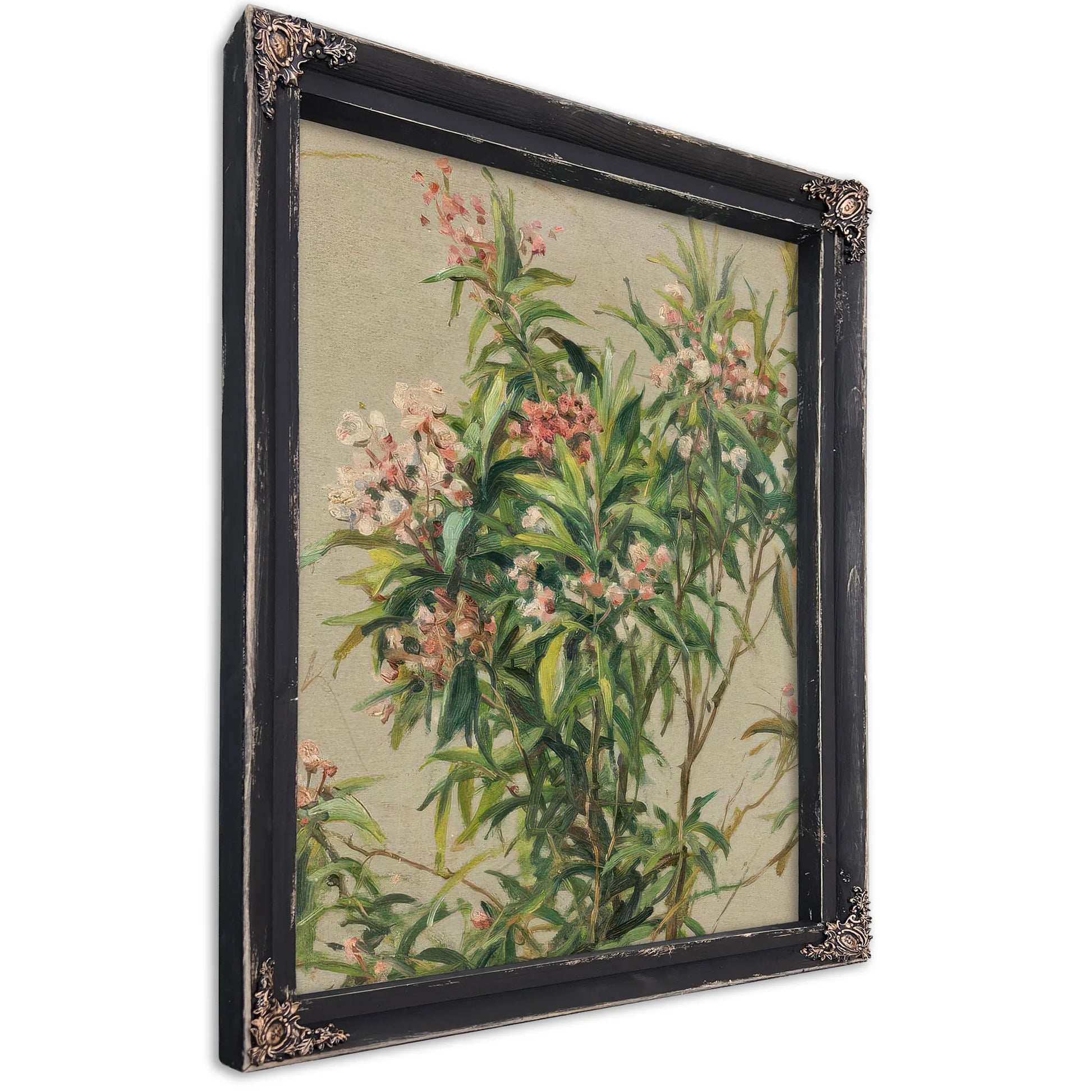 Study Of An Oleander By Louis Aston Knight Fine Art Print