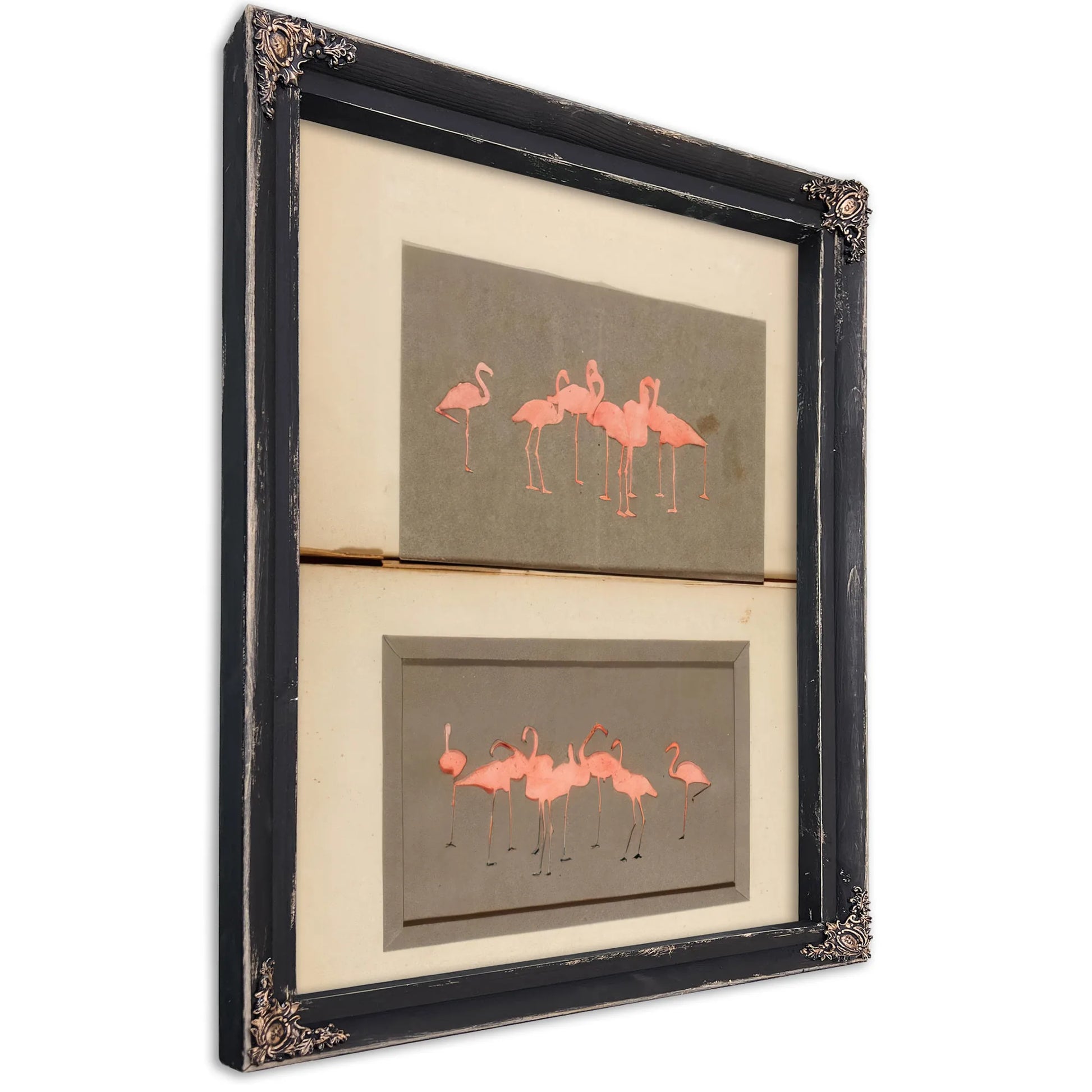 Flamingoes, Study Folder For Book Concealing Coloration In The Animal Kingdom By Abbott Handerson Thayer Fine Art Print