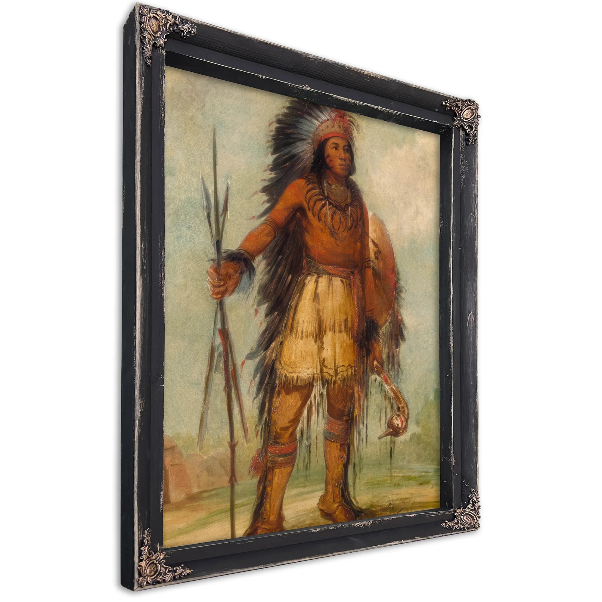 A Wun Ne Wa Be, Bird Of Thunder By George Catlin Fine Art Print