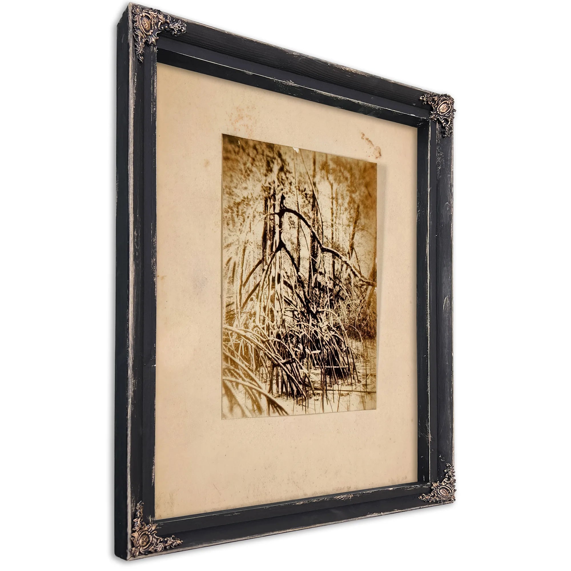 Photo Of Marsh, Study Folder For Book Concealing Coloration In The Animal Kingdom By Abbott Handerson Thayer Fine Art Print