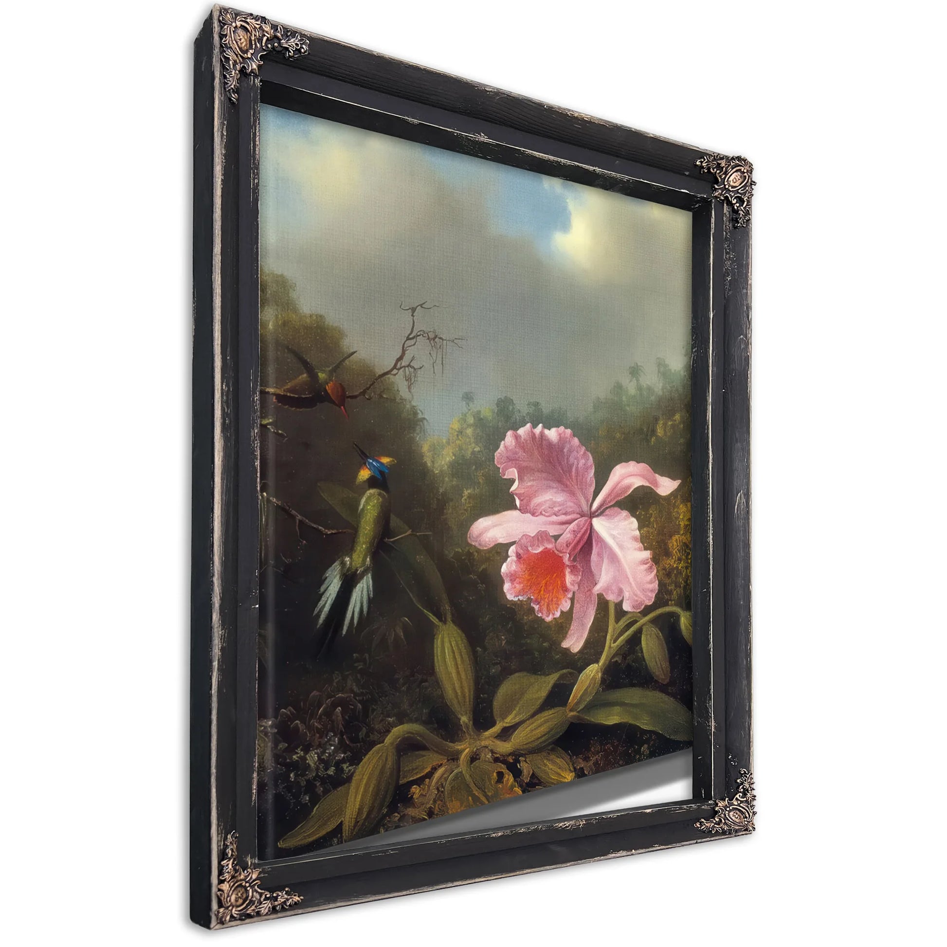 Fighting Hummingbirds With Pink Orchid By Martin Johnson Heade Fine Art Print