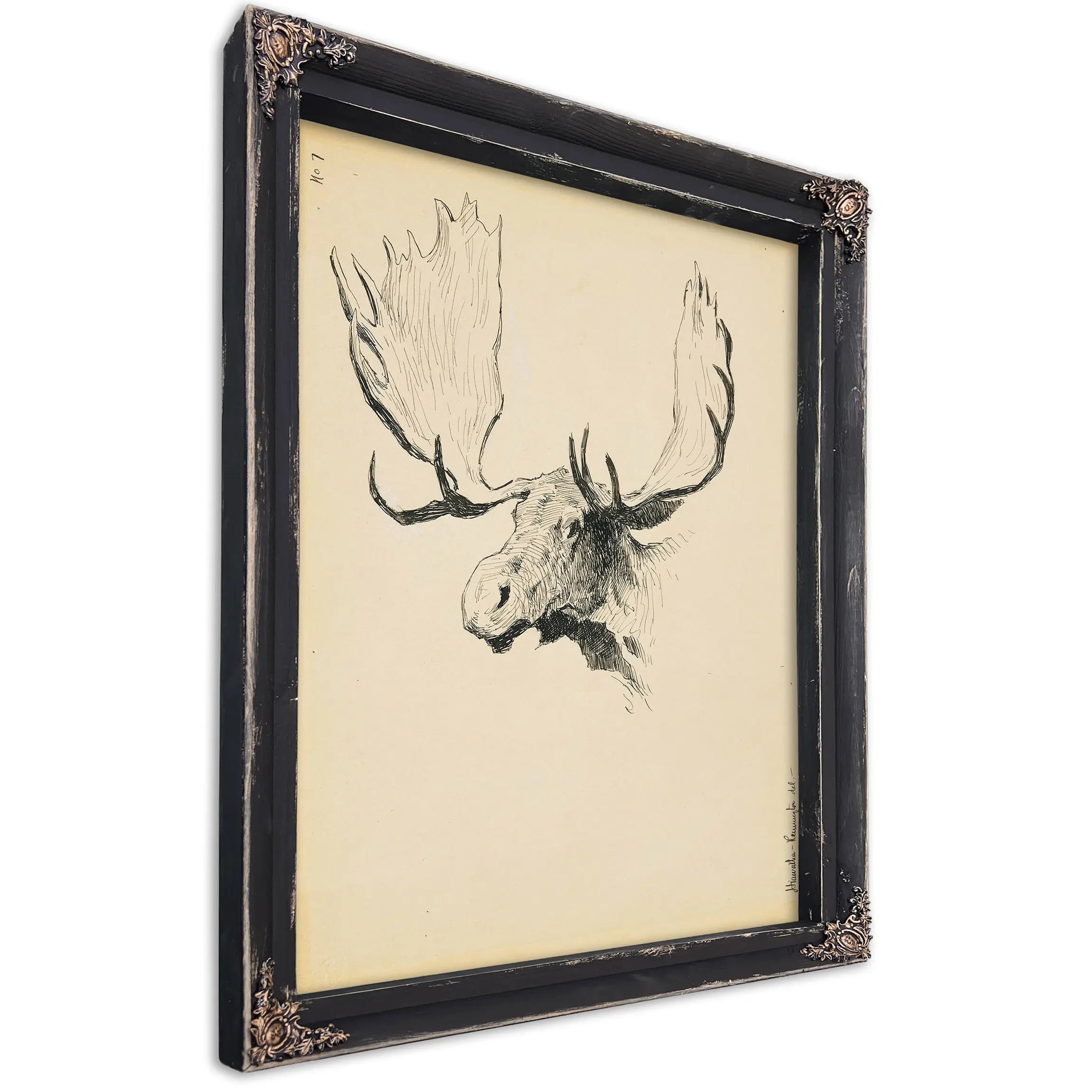 Moose Head by Frederic Remington